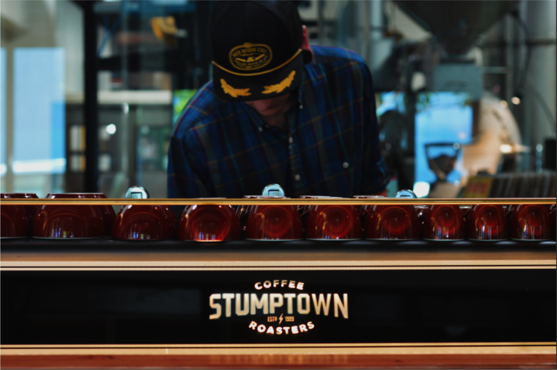 Stumptown Brew by Diamond Troutman for Paris Elsewhere.png