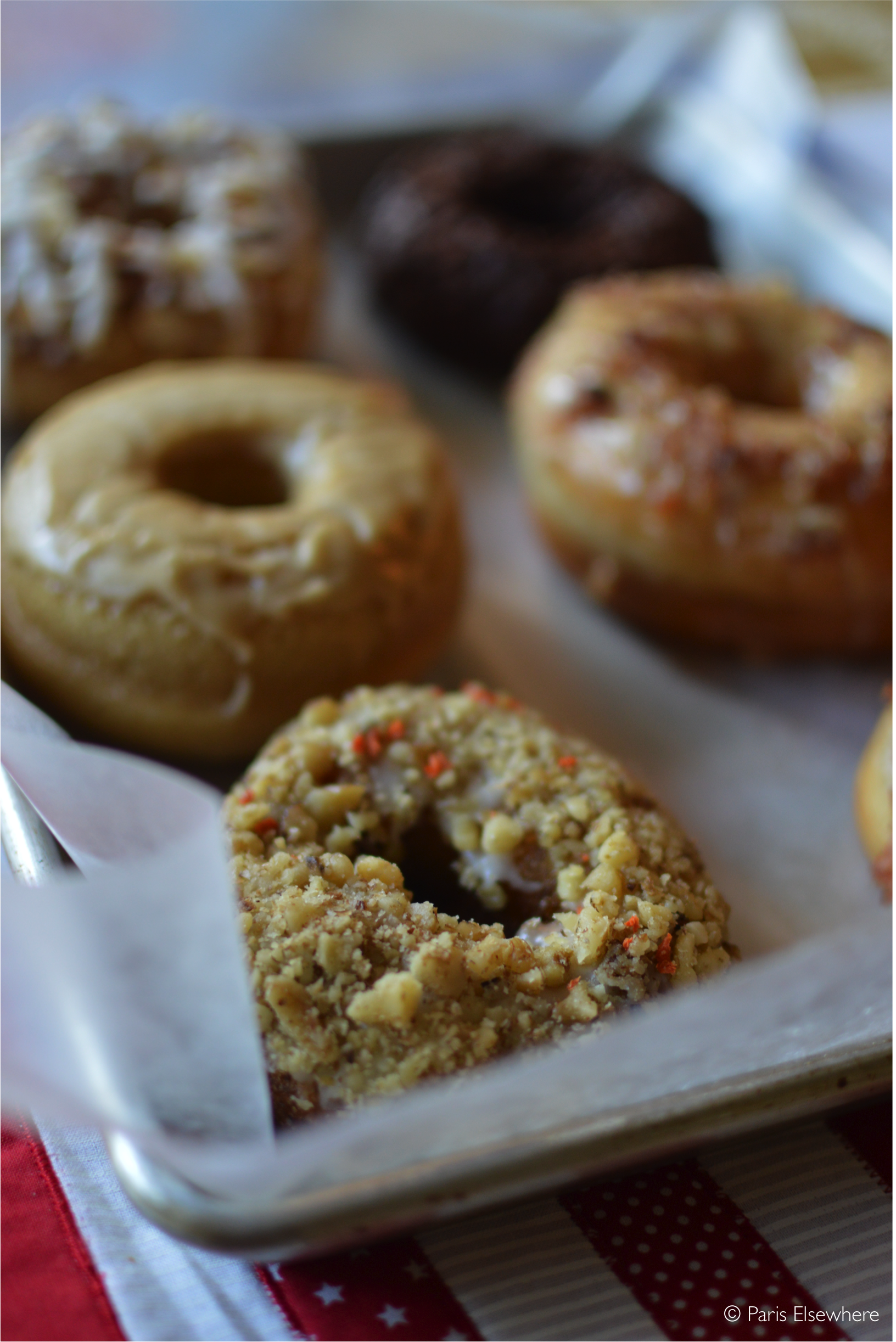 Revolution Donuts by Diamond Troutman Paris Elsewhere.png
