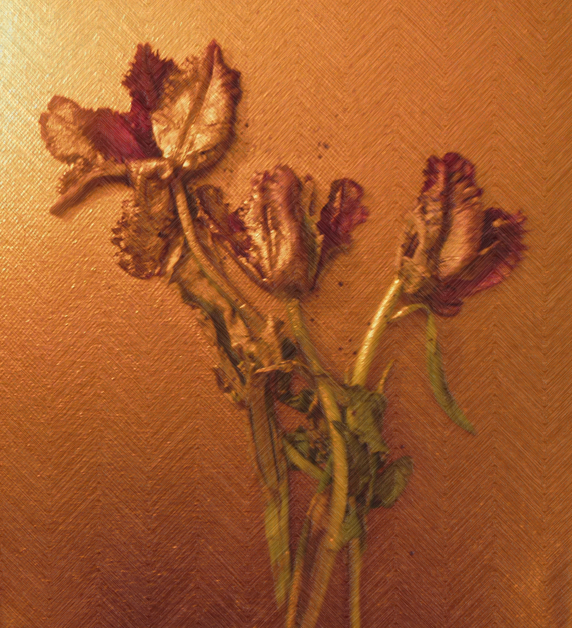 DD3 flat 2_edited-1.JPEG