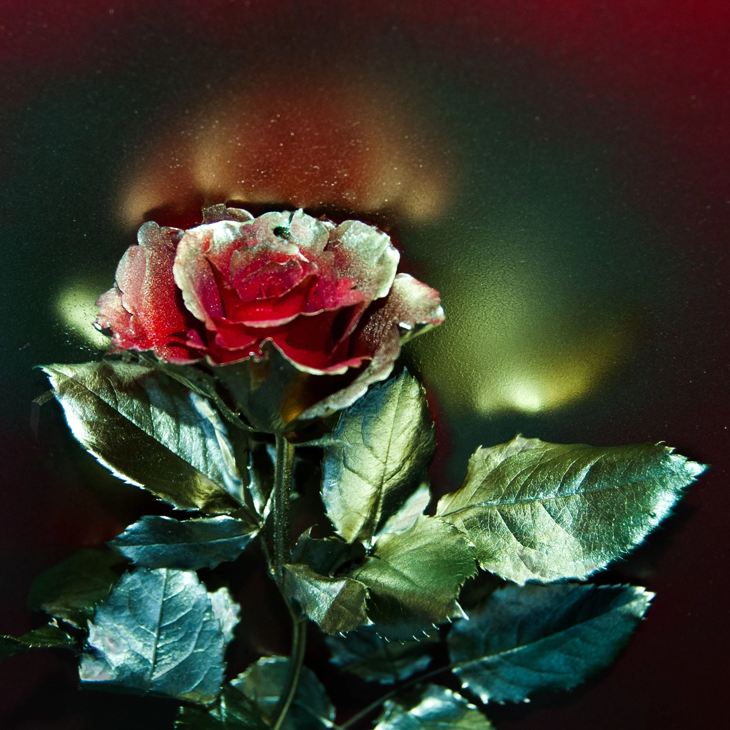 Square retouch mid.JPG