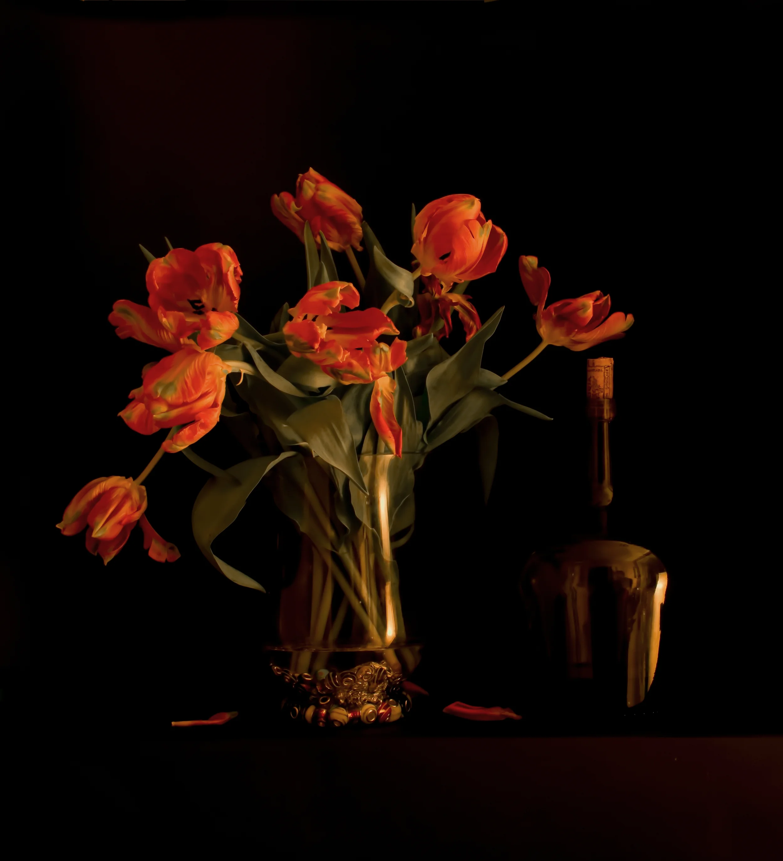 Claudia TulipsA.jpg
