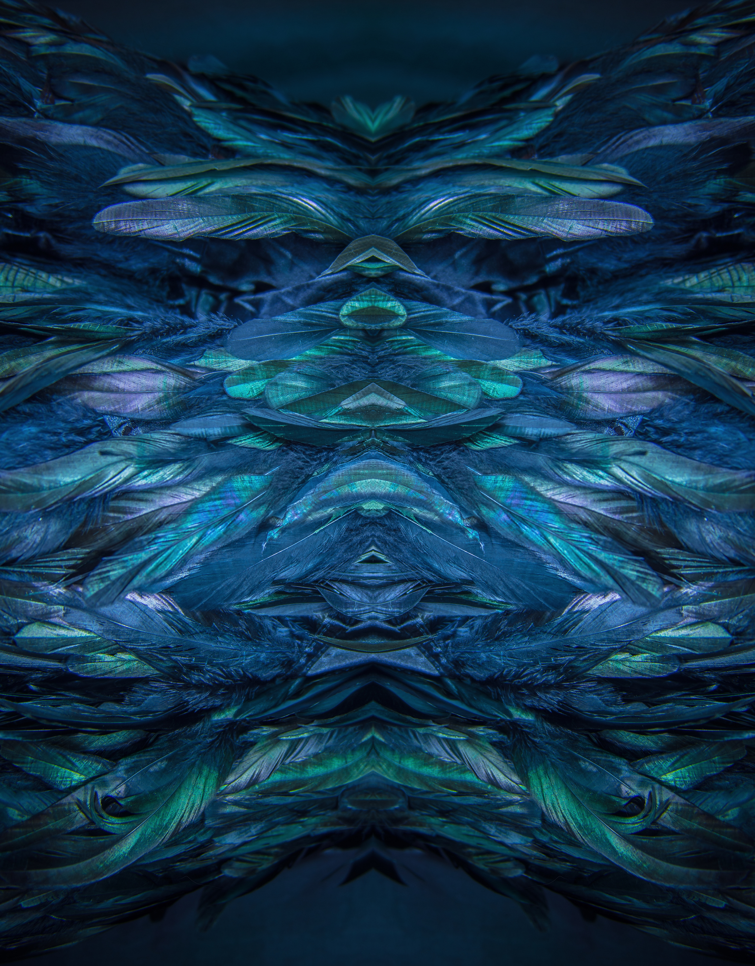feather jacket reflect2.jpg