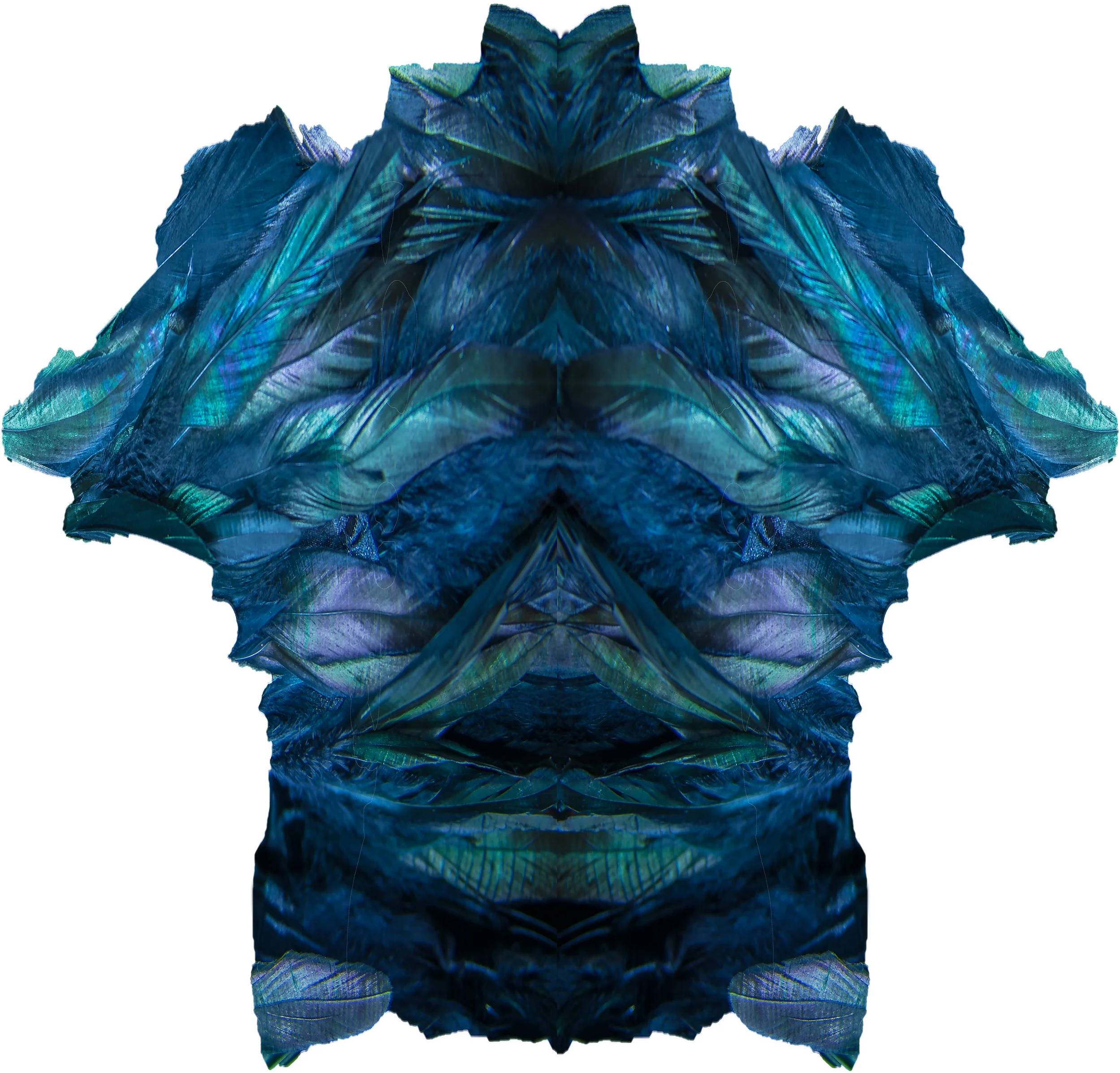 feathery shirt1.jpg