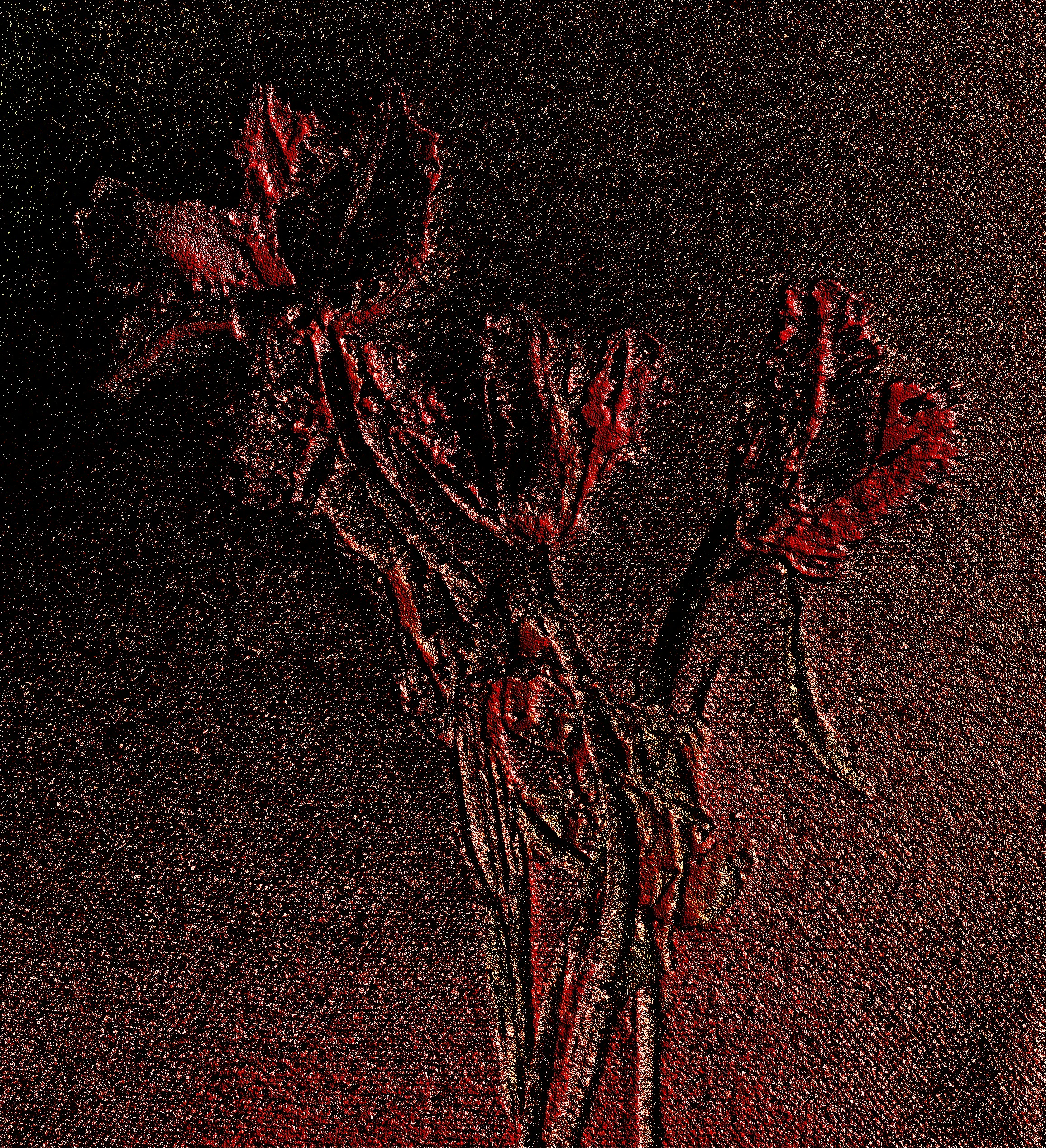DD3 red carbonite.jpg