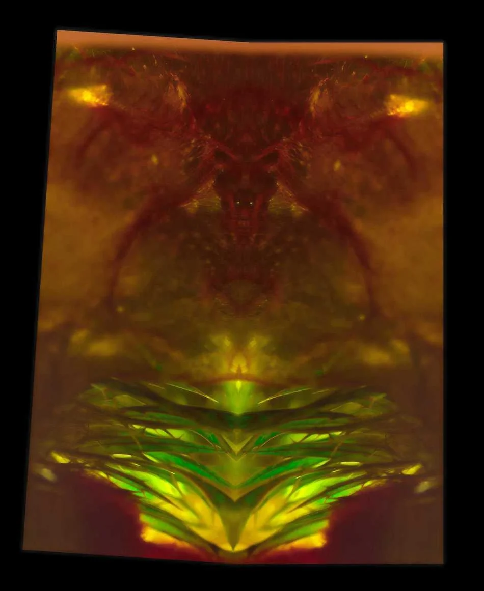 viscera1a_DxO.jpg