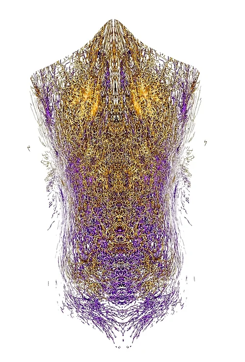 versace style shirt.jpg
