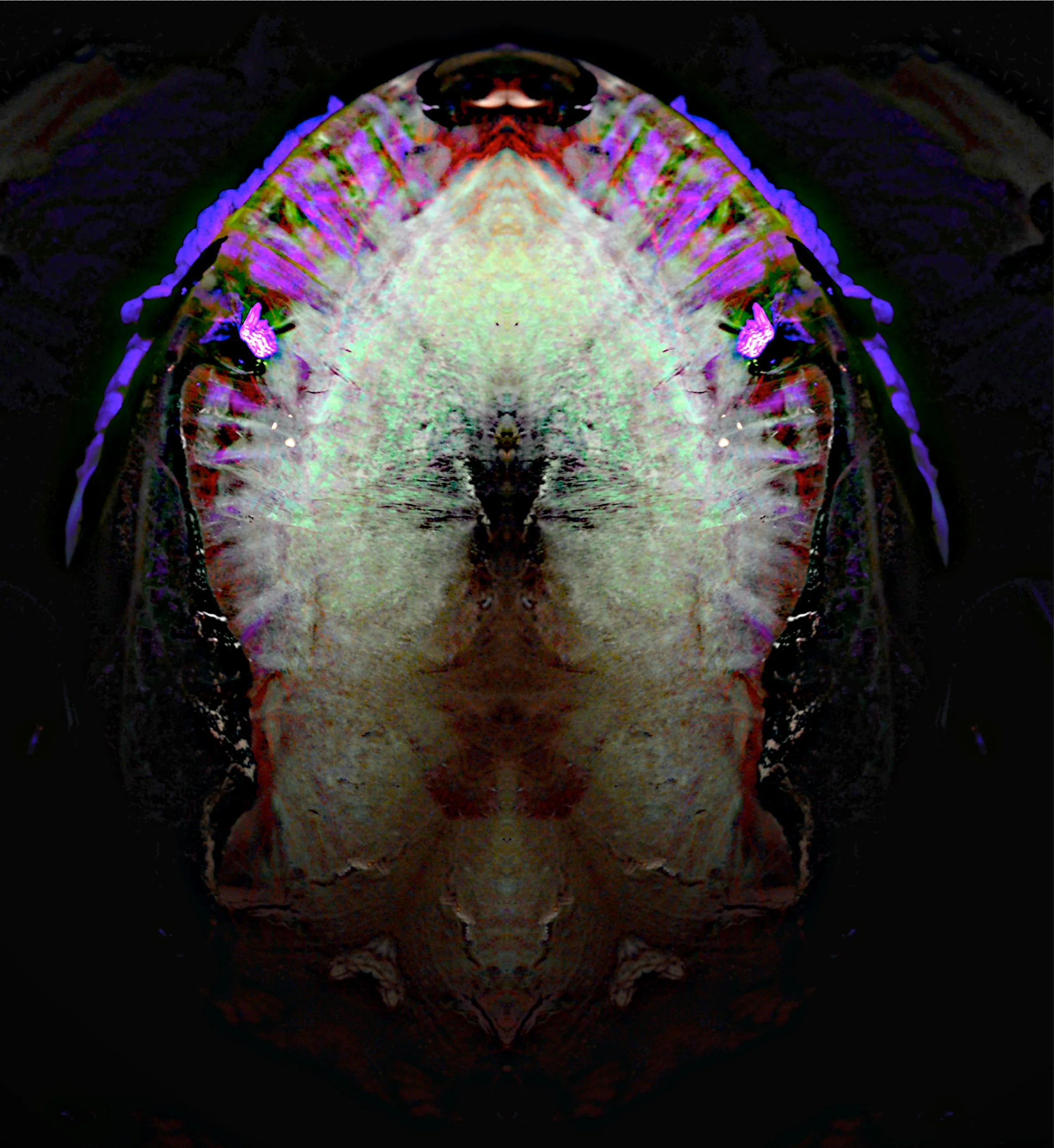 ice fossil01.jpg