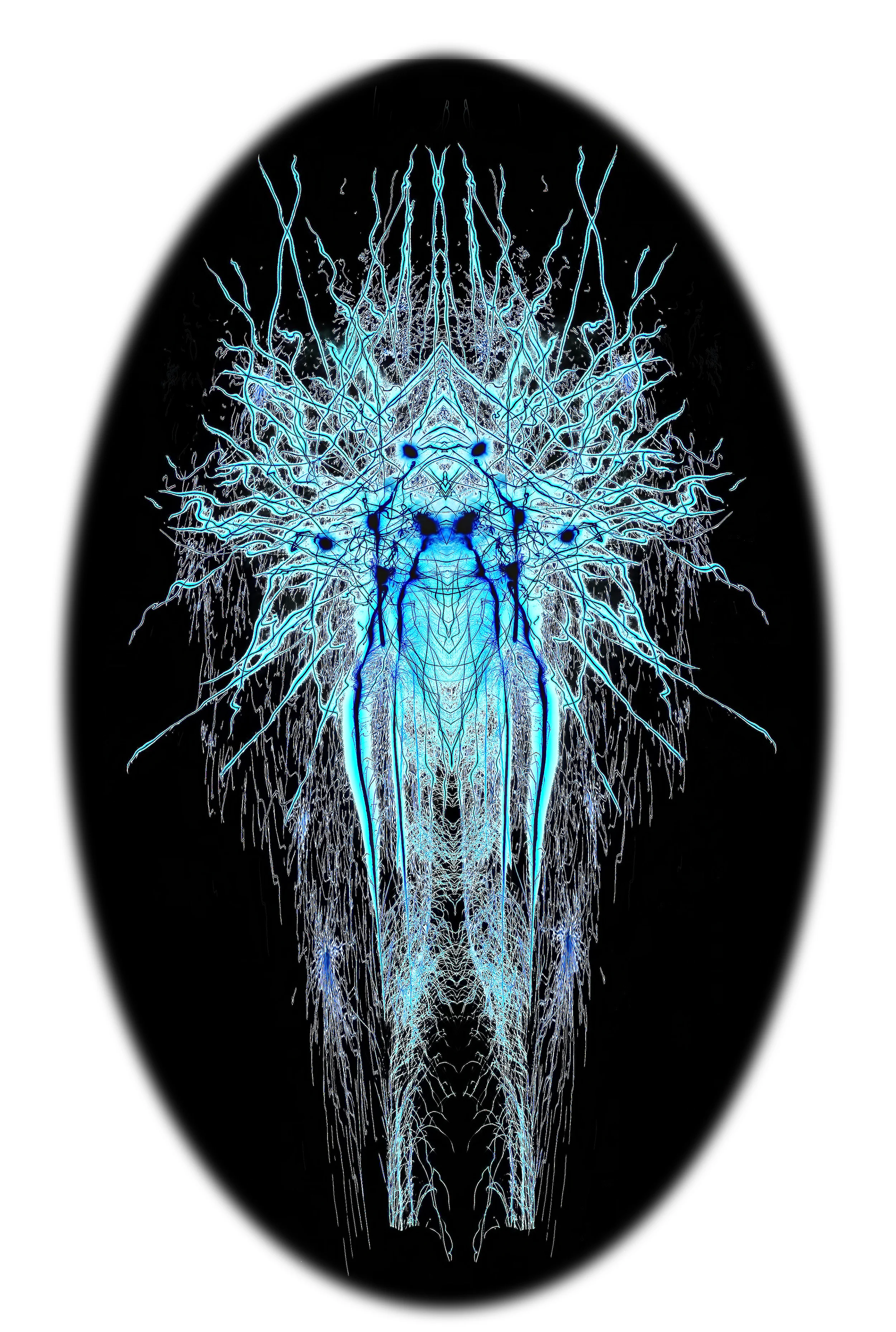 I saw the visitor.JPG