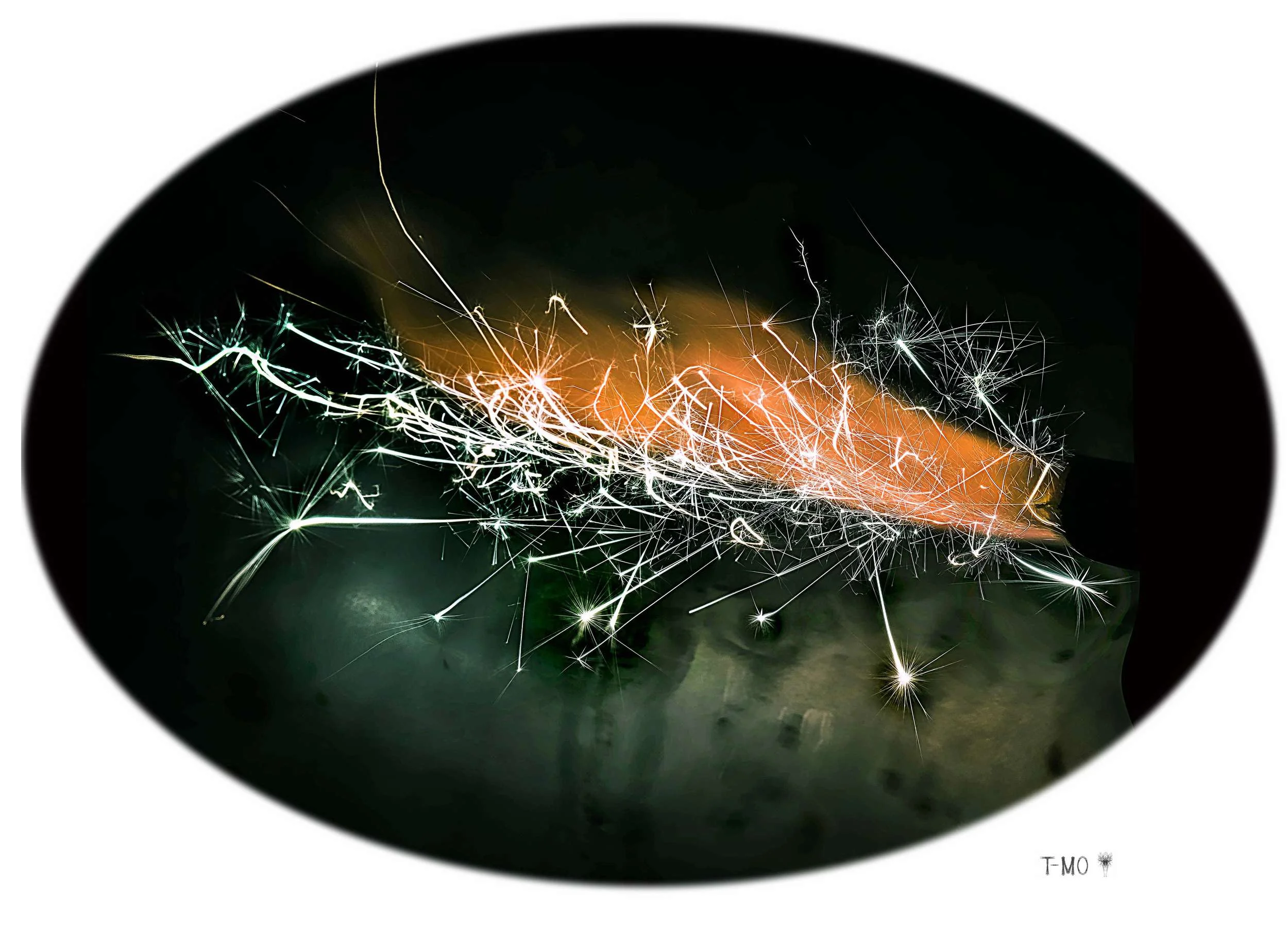 TMO_2176vignette p1.jpeg