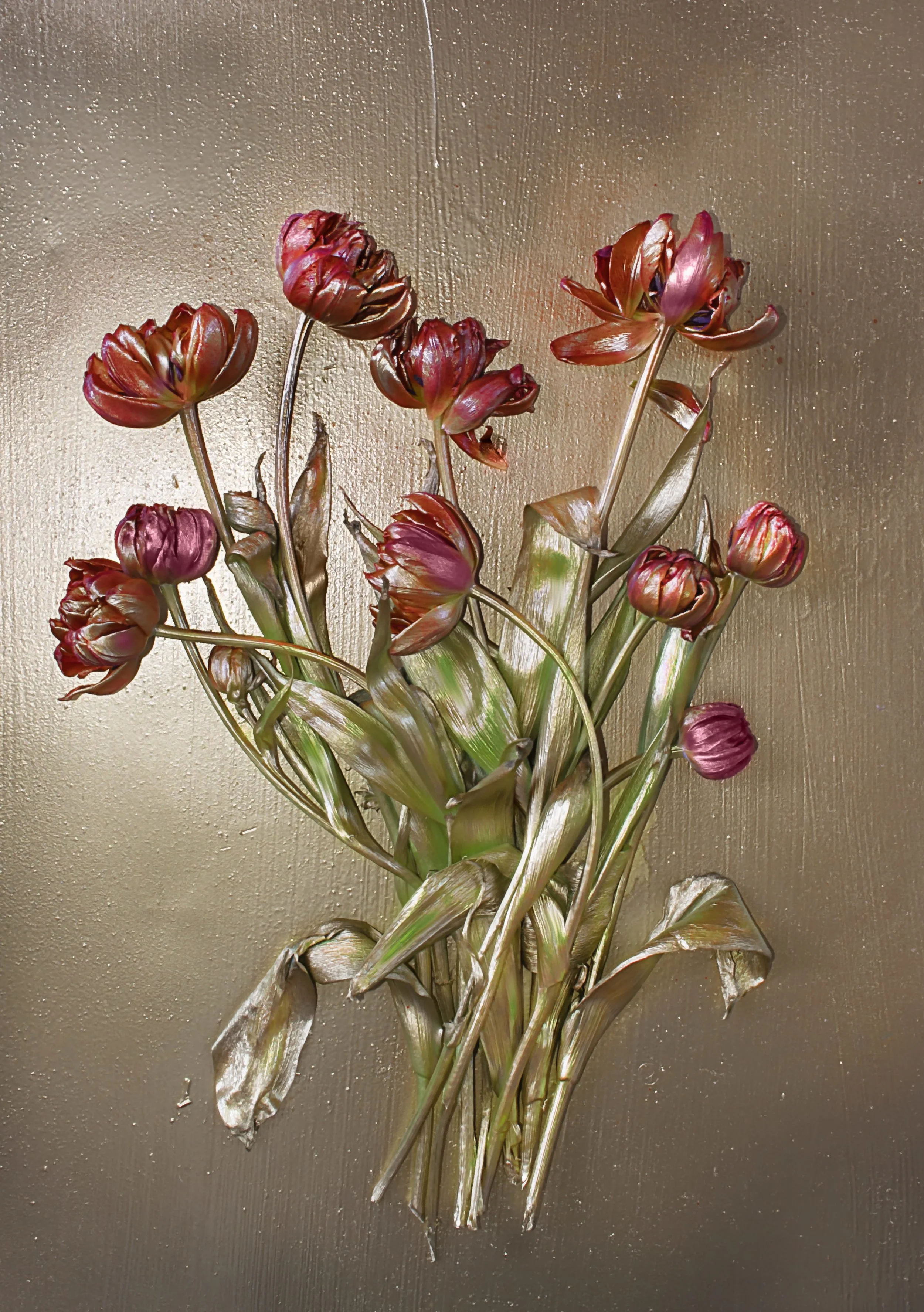 shiny tulips 2015.jpg