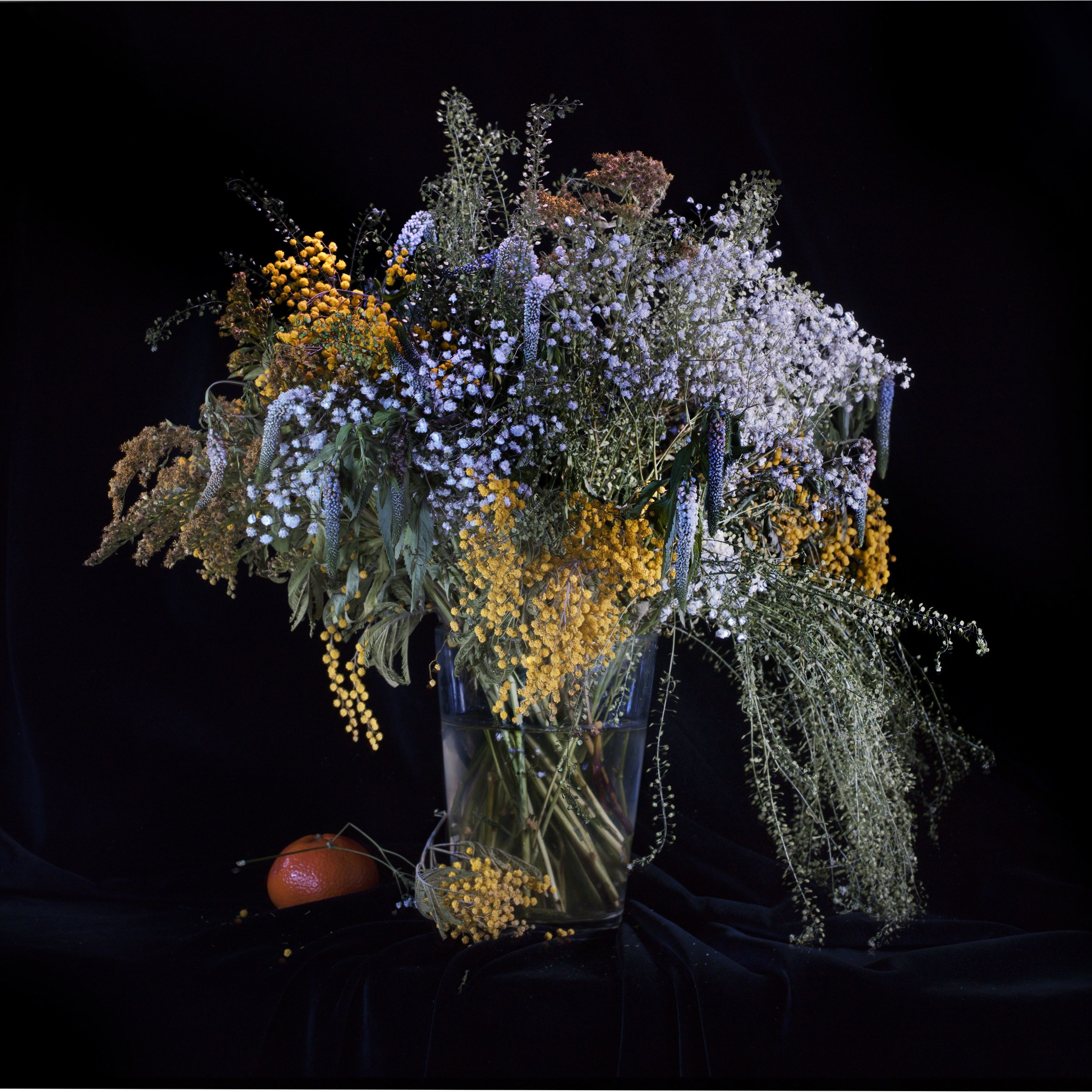 CF348970 merged ++.jpg