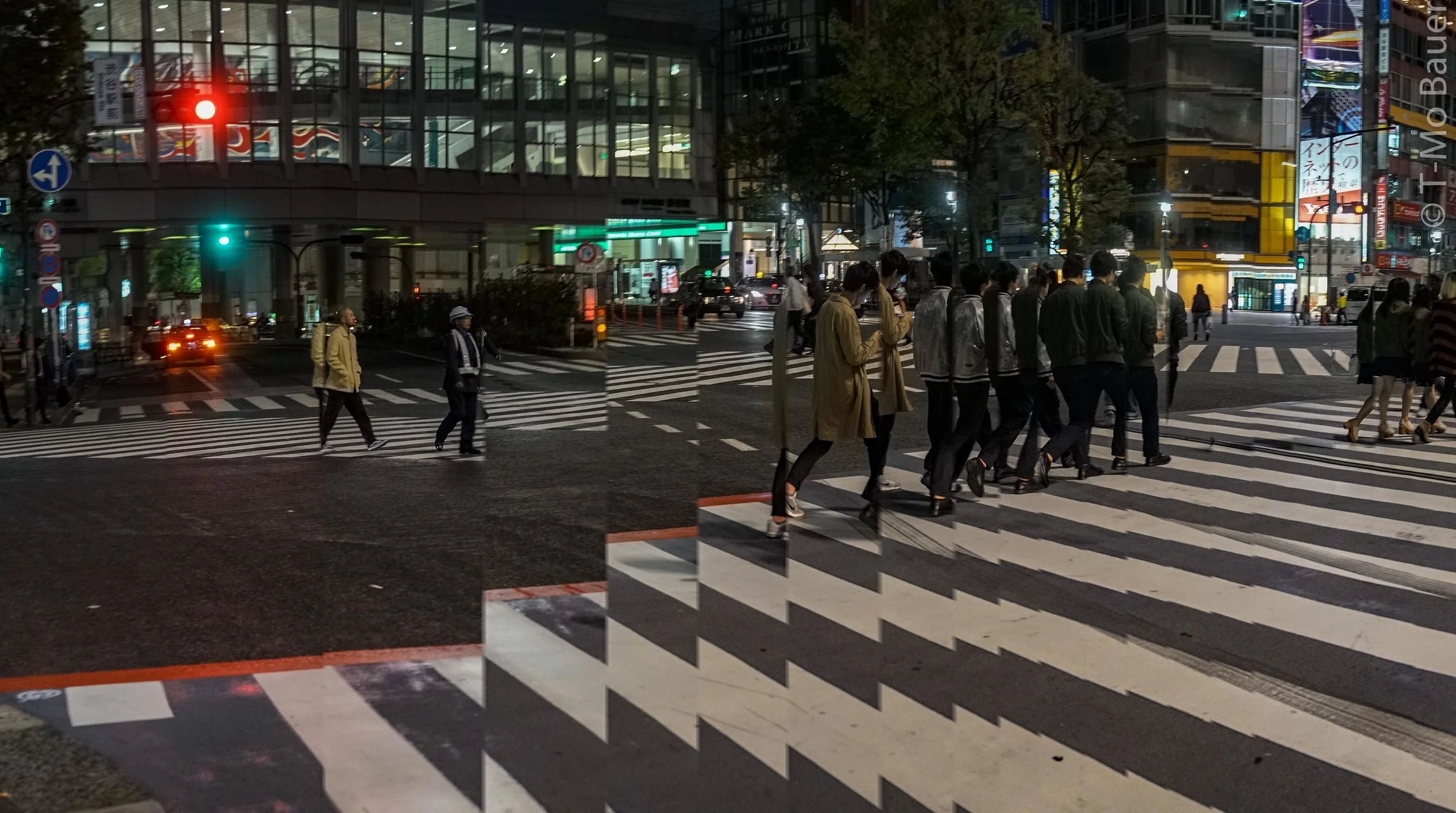 Tokyo Twist67.JPG