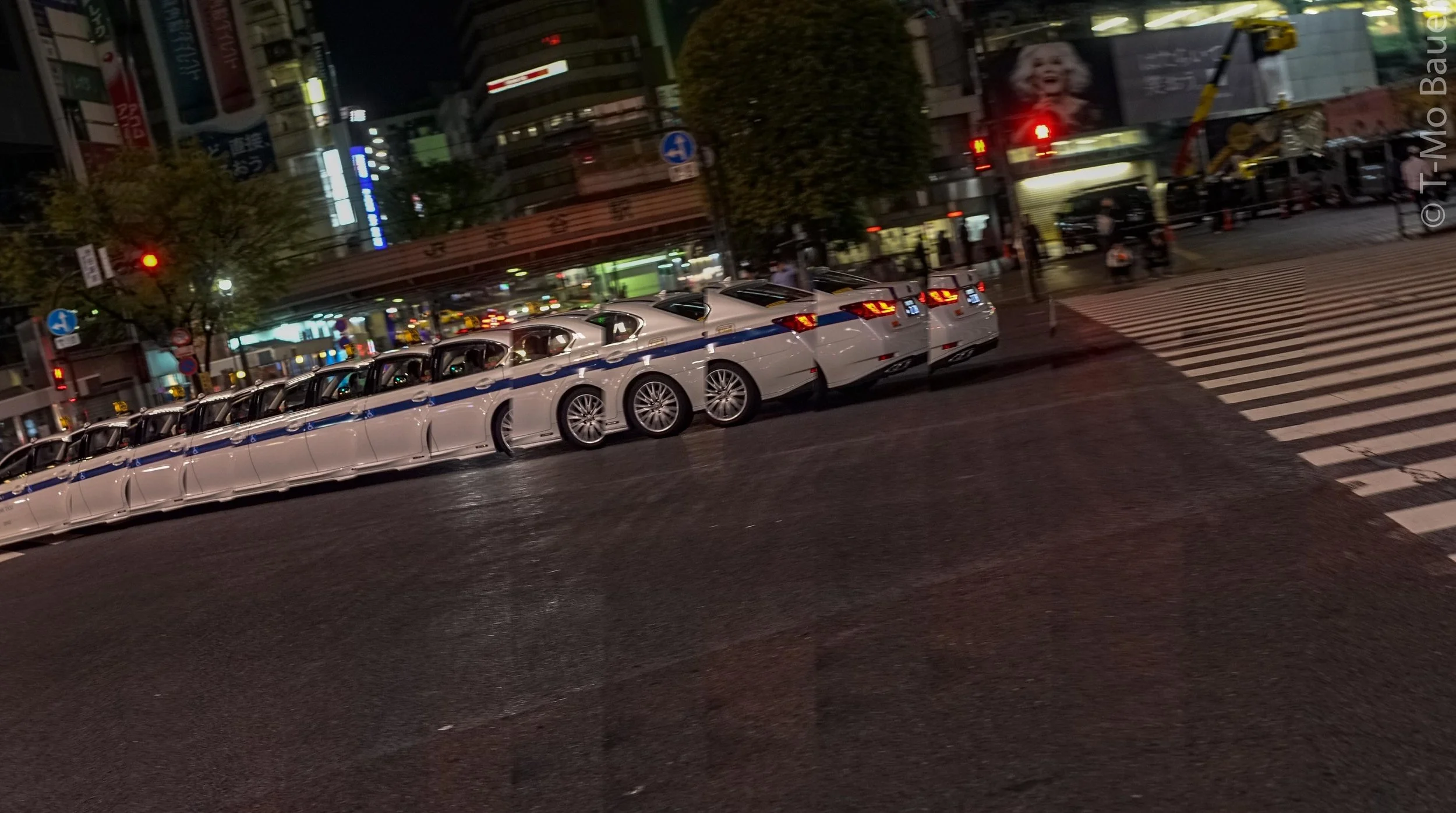 Tokyo Twist76.JPG