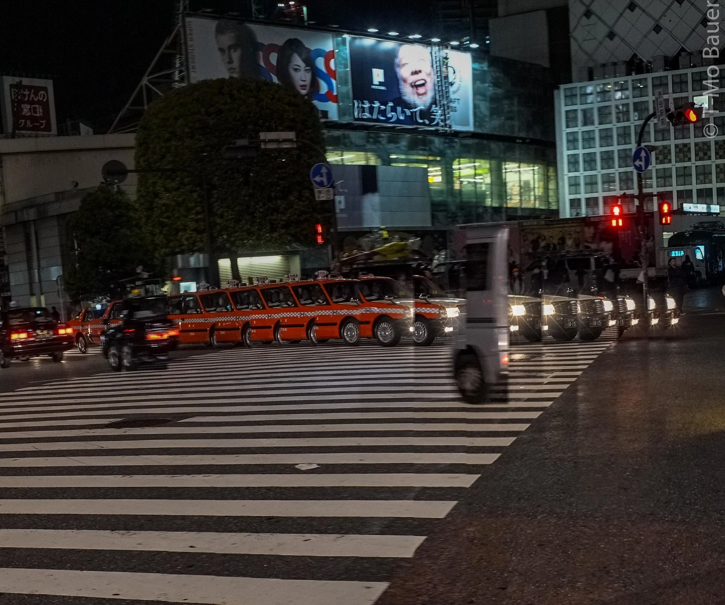 Tokyo Twist79.JPG