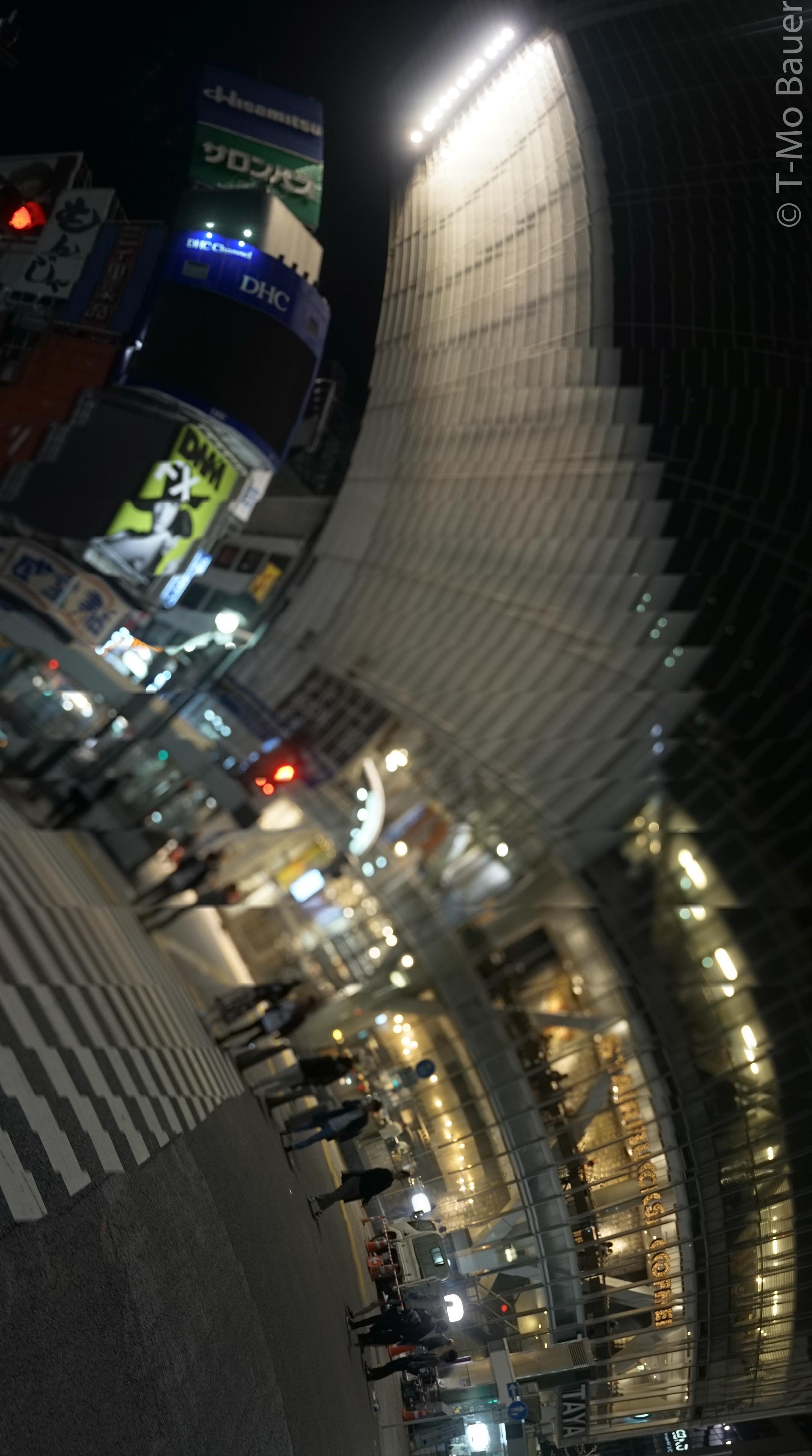 Tokyo Twist85.JPG