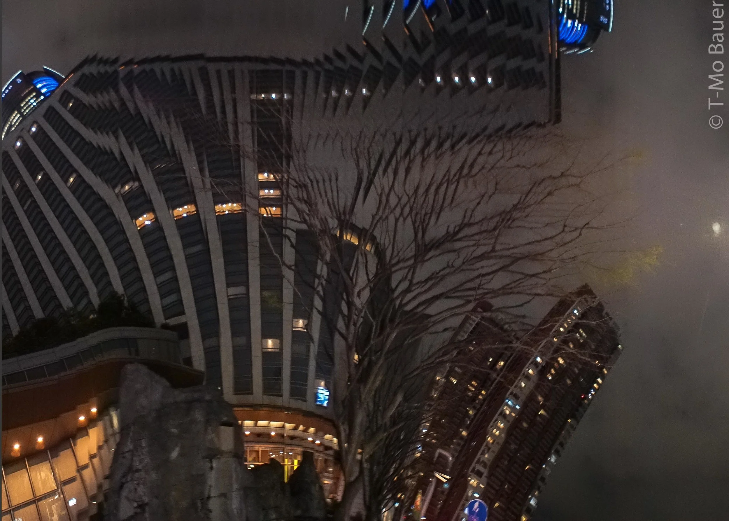 Tokyo Twist90.JPG