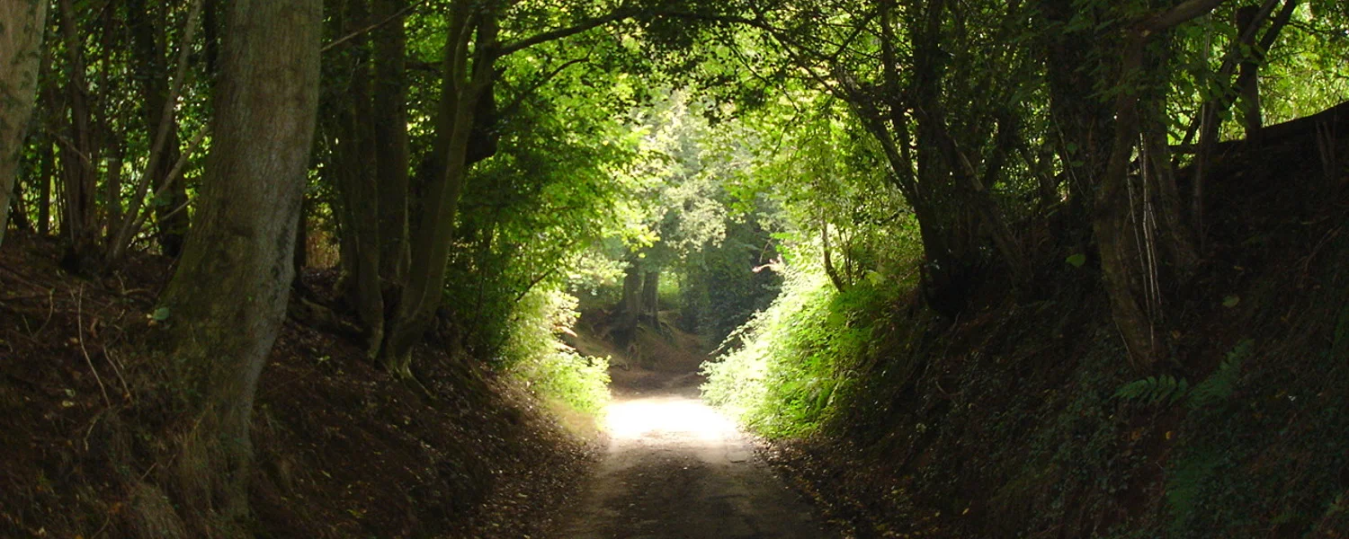 Monday in the Octave of Easter