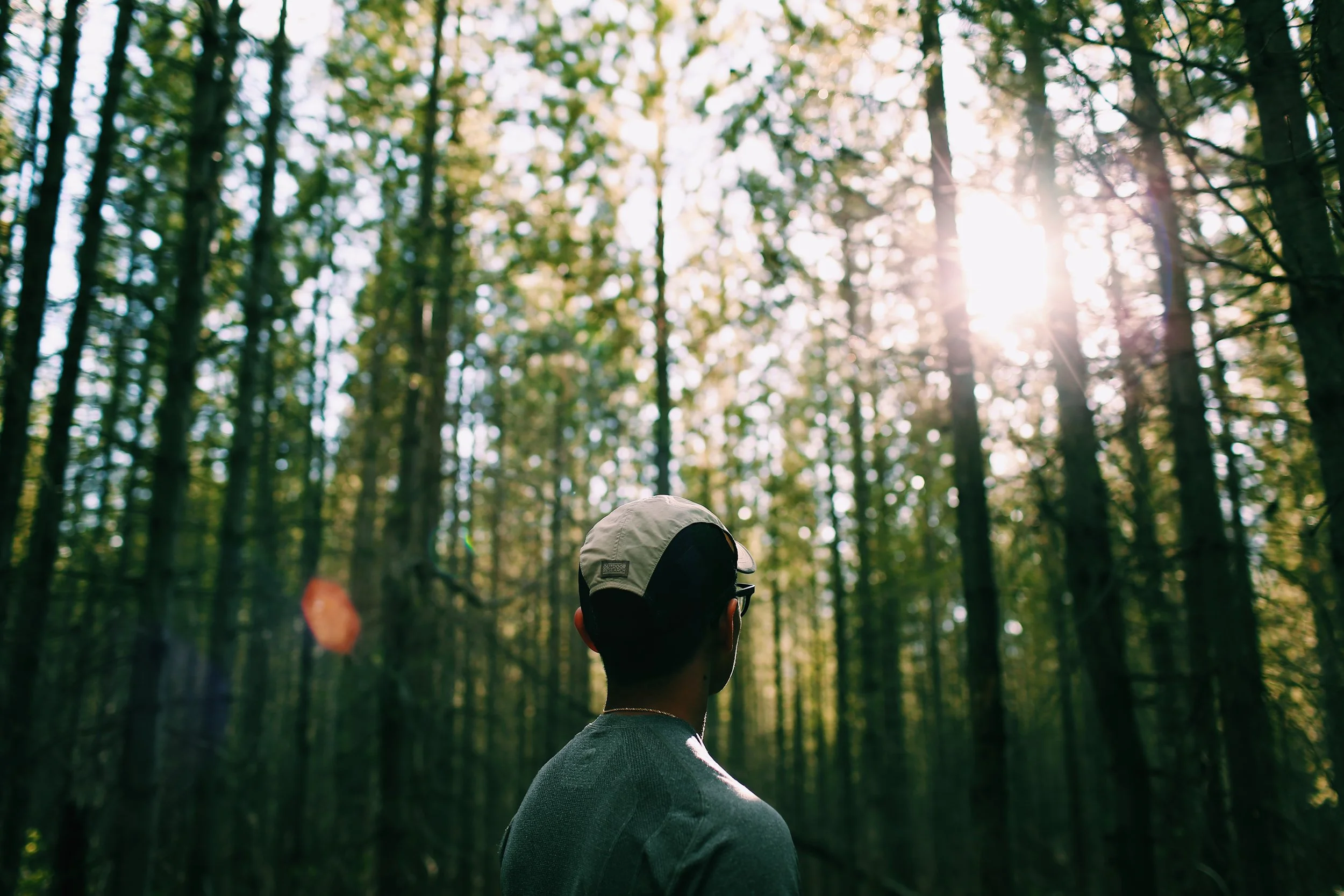 Noticing, Appreciating, and Accepting the Uncomfortable
