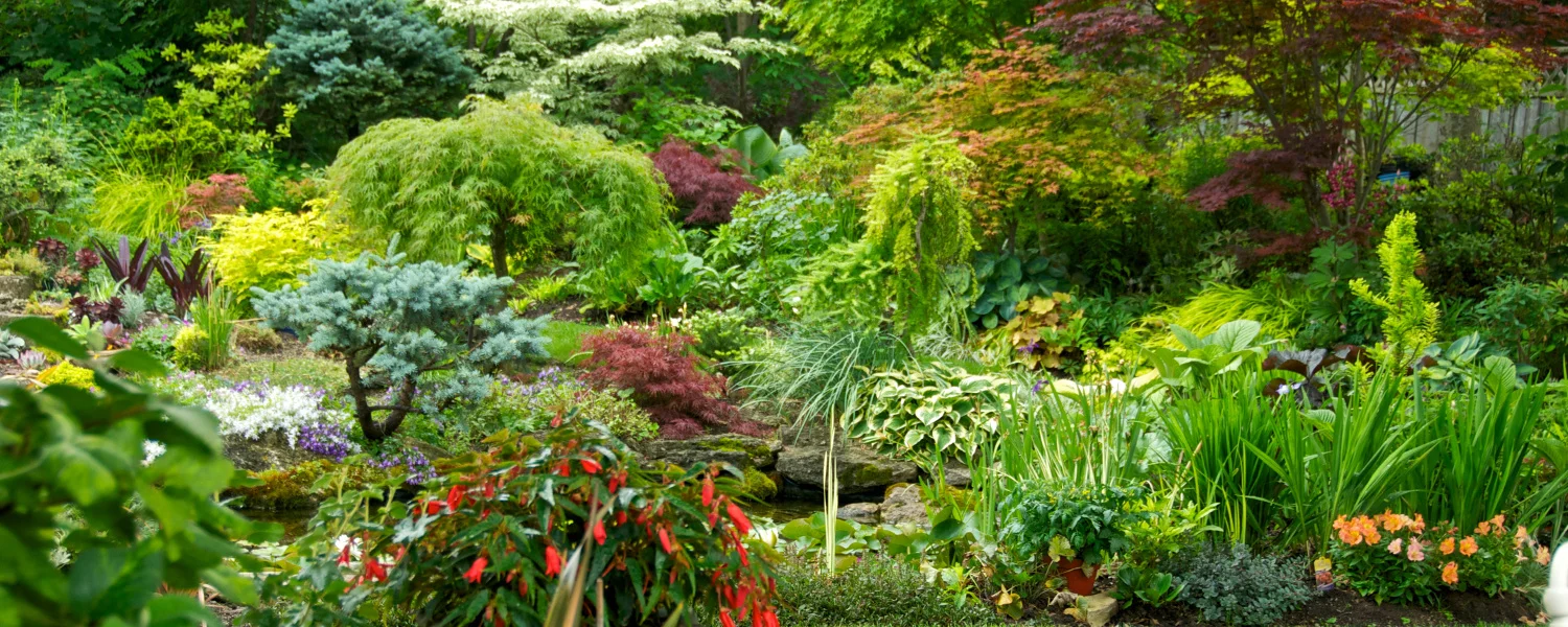 Thursday of the Fourth Week of Lent