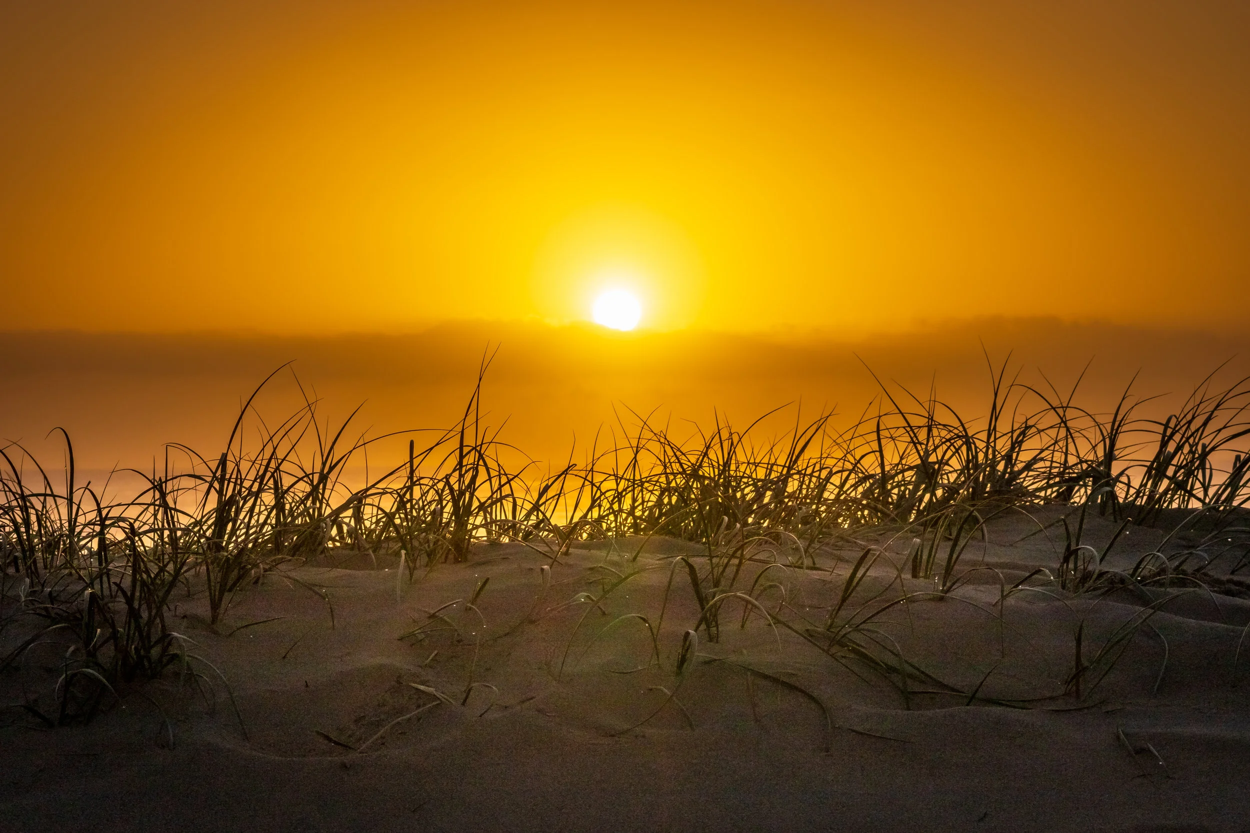 Second Sunday of Lent