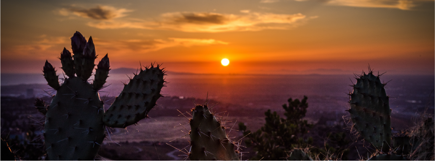 Saturday of the Fourth Week of Lent