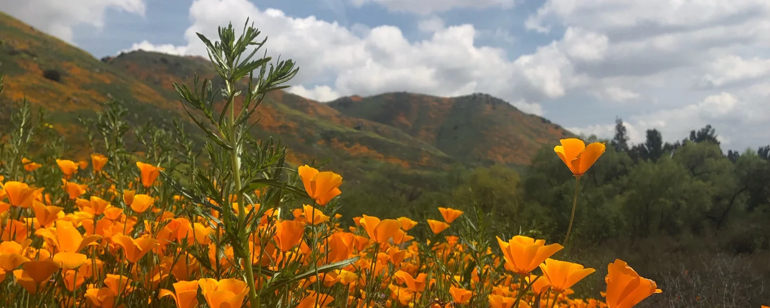 Tuesday in the Octave of Easter