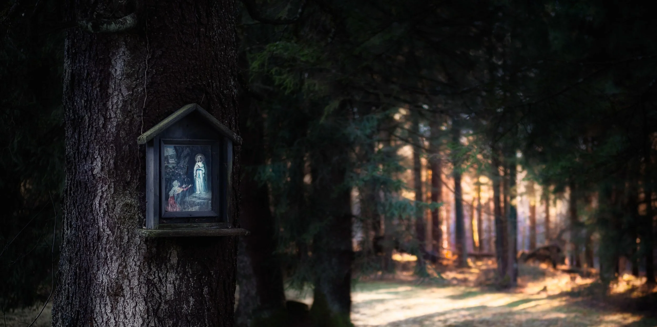 Monday of the Fourth Week of Lent