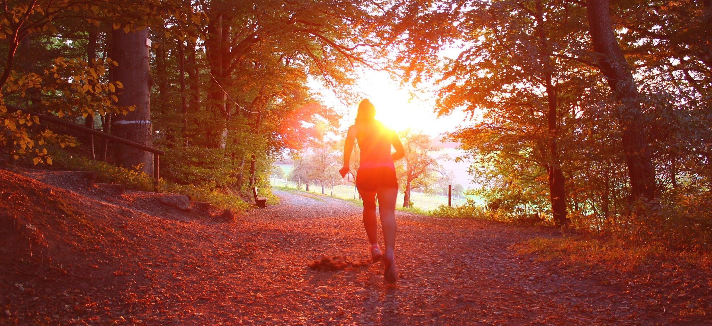 Tuesday of the Fifth Week of Lent