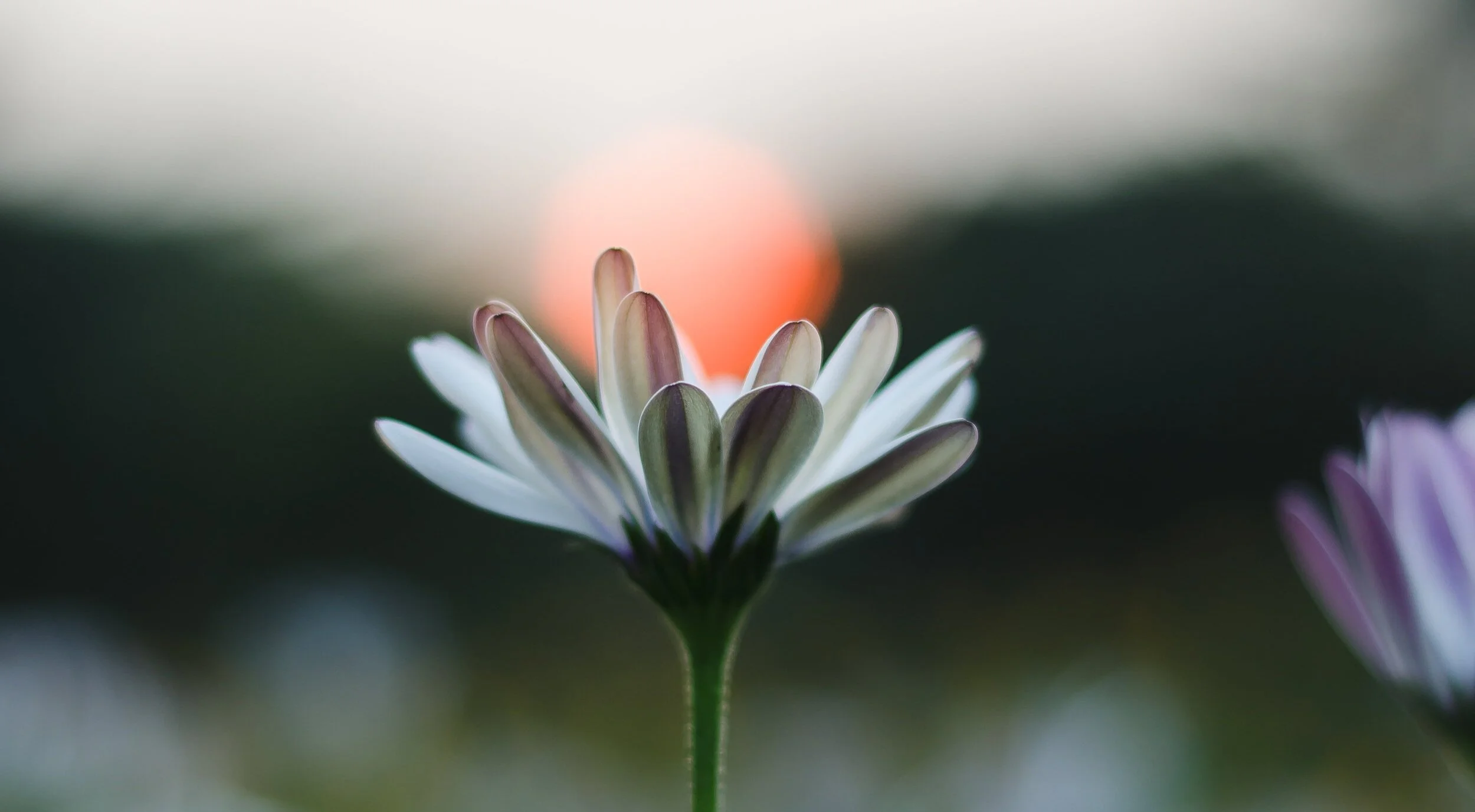 Saturday of the Fifth Week of Lent