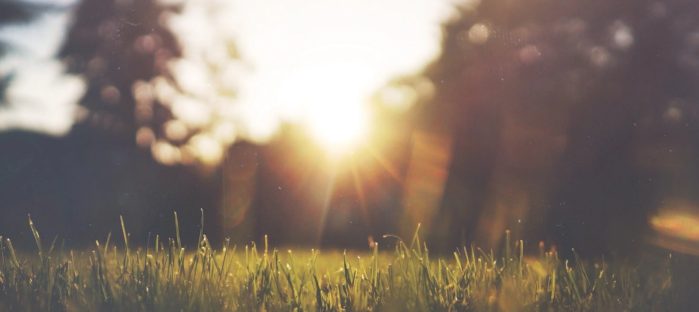 Thursday in the Octave of Easter