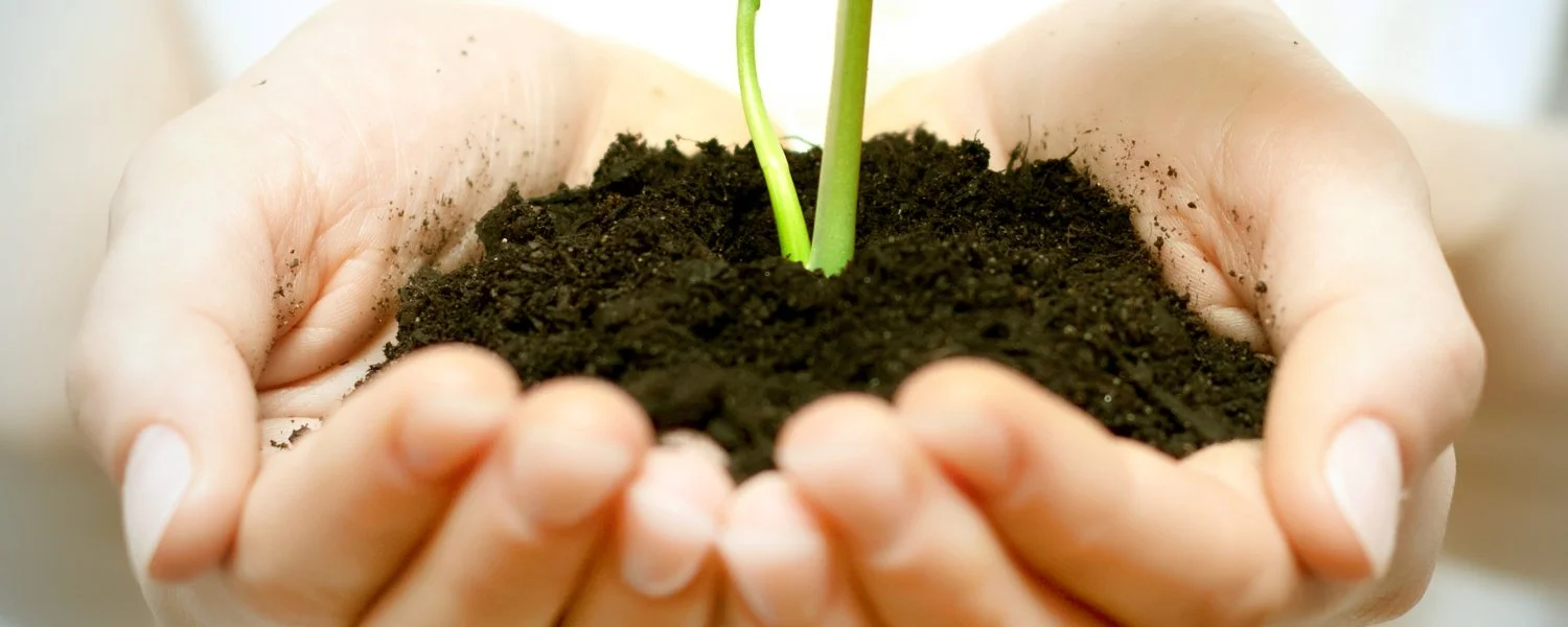 Second Sunday of Lent