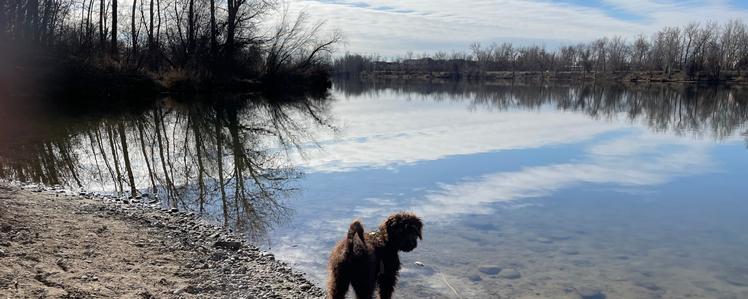 Friday of the Fourth Week in Lent