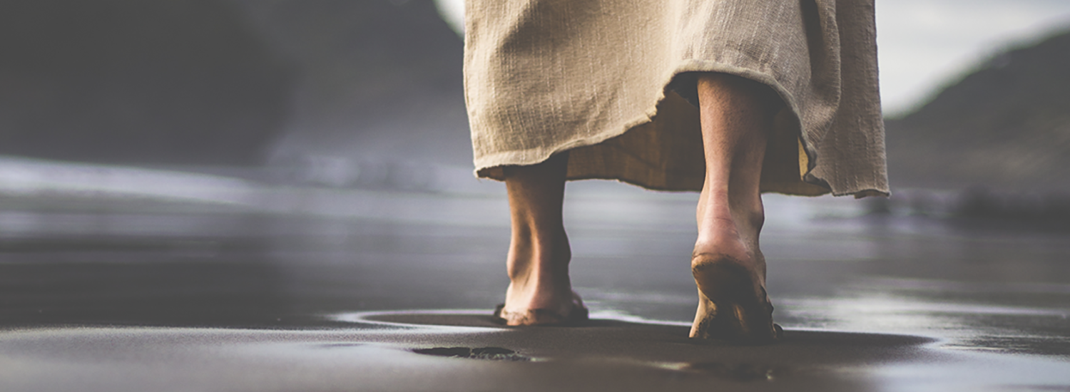 Web Banner - Tri.png