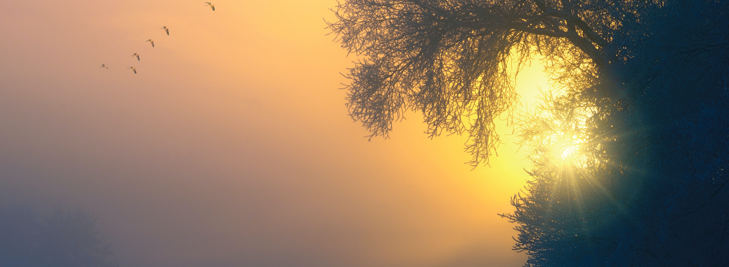 Encountering Peace Retreat (TX)