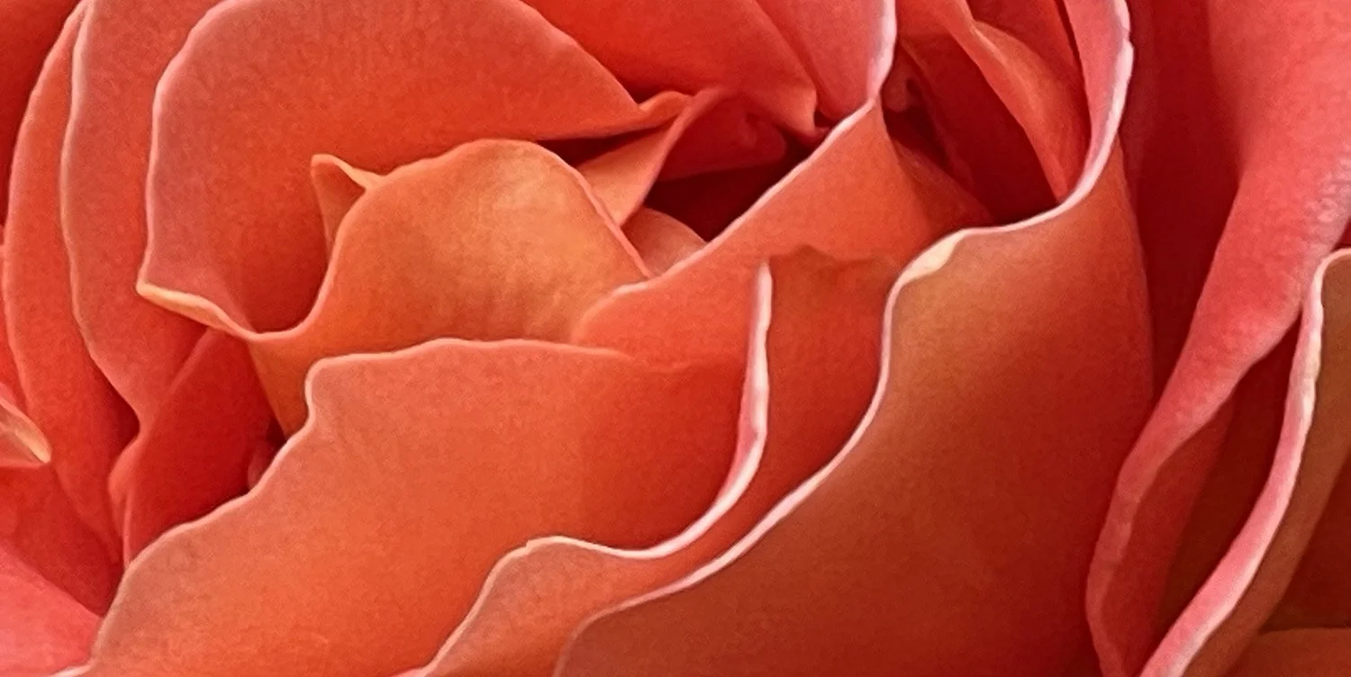 Sunday of Divine Mercy