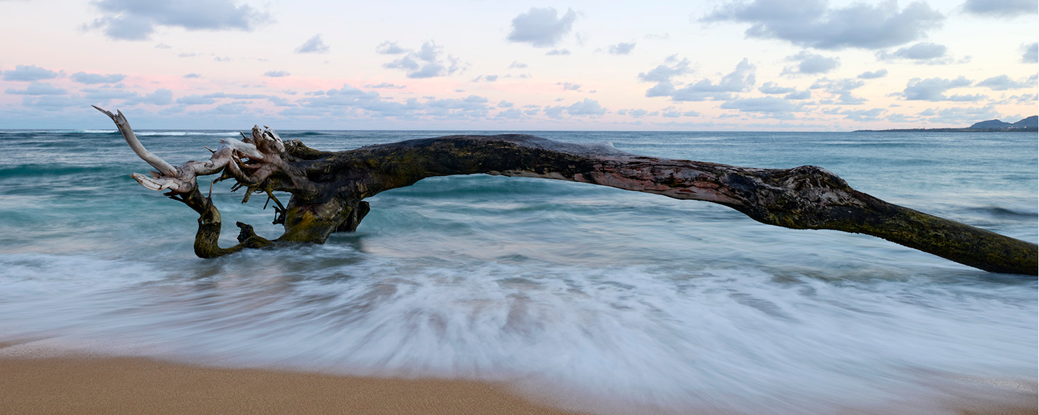 Saturday after Ash Wednesday