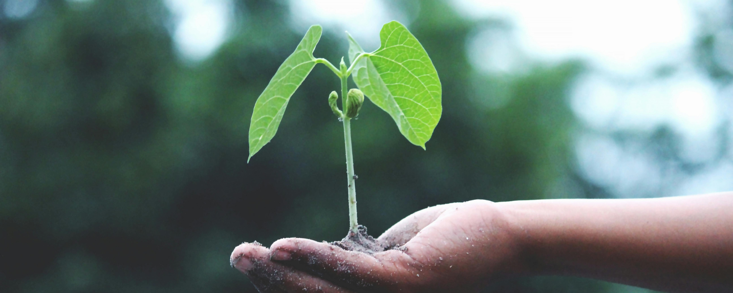 Monday of the Second Week of Lent