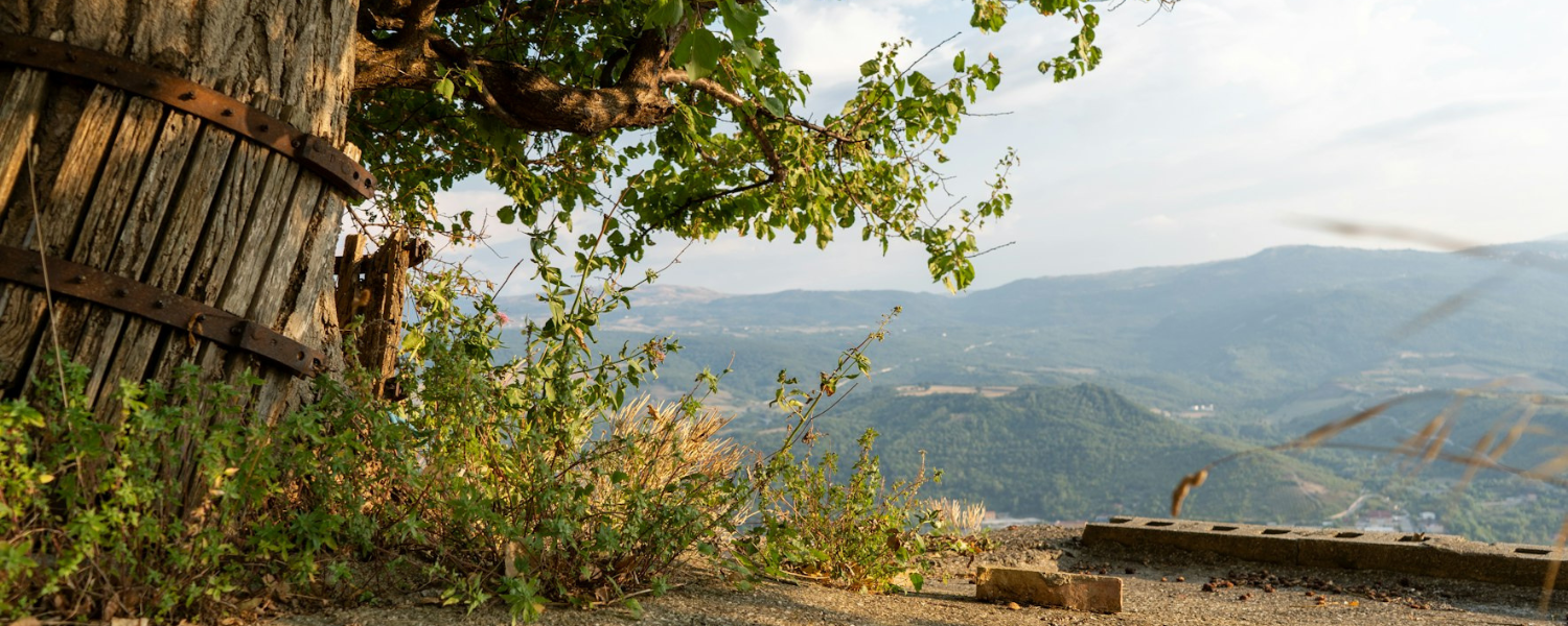 Tuesday of the Second Week in Lent