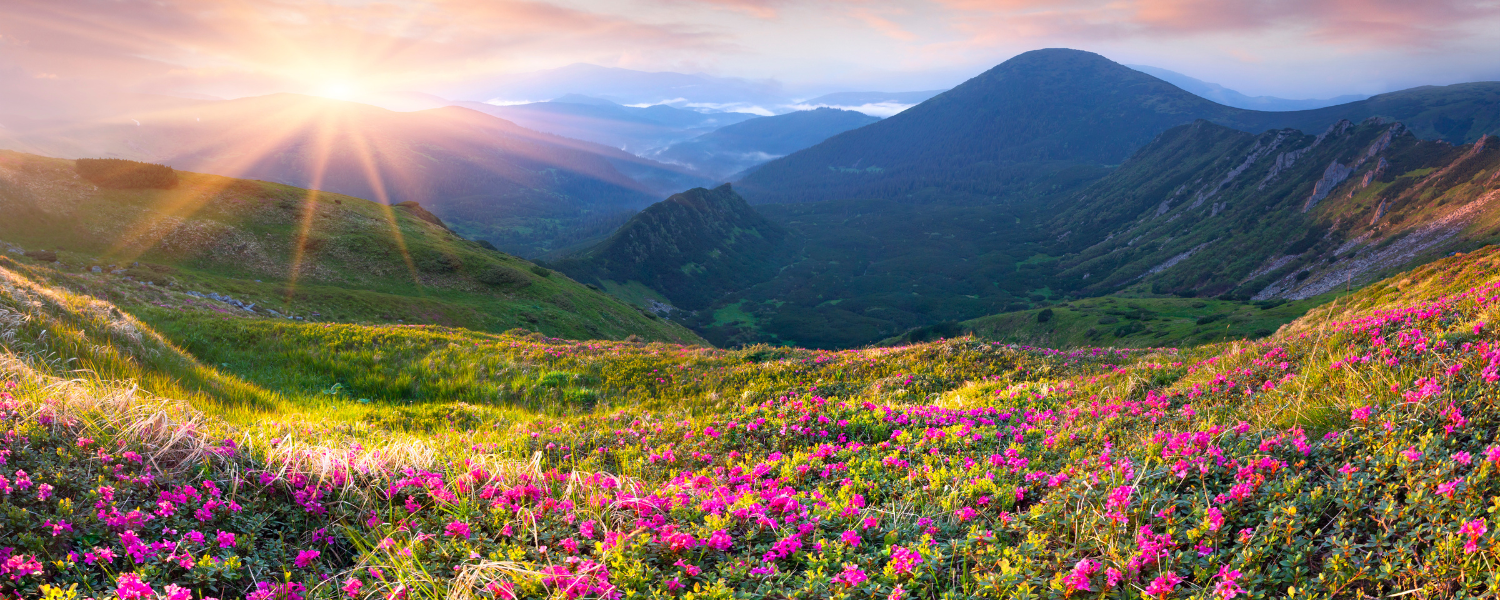 Monday of the Fourth Week in Lent