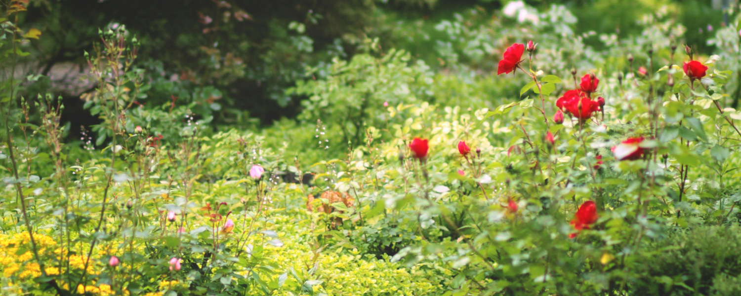 Tuesday in the Octave of Easter