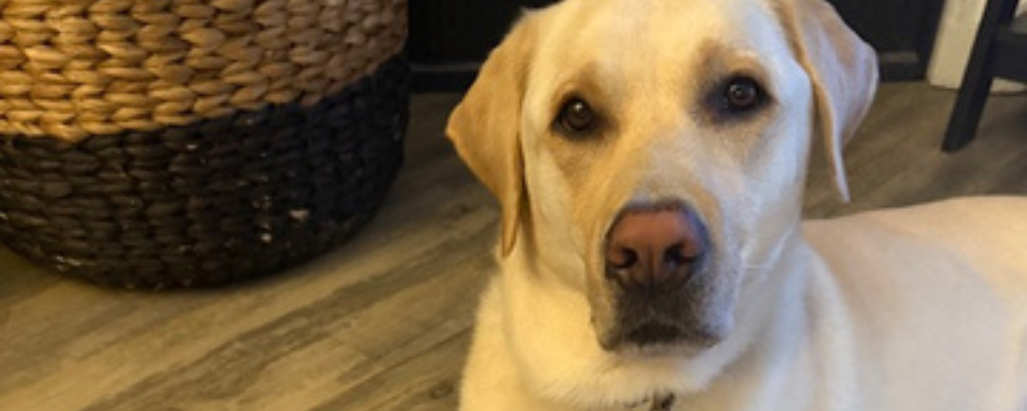 Tuesday of Holy Week