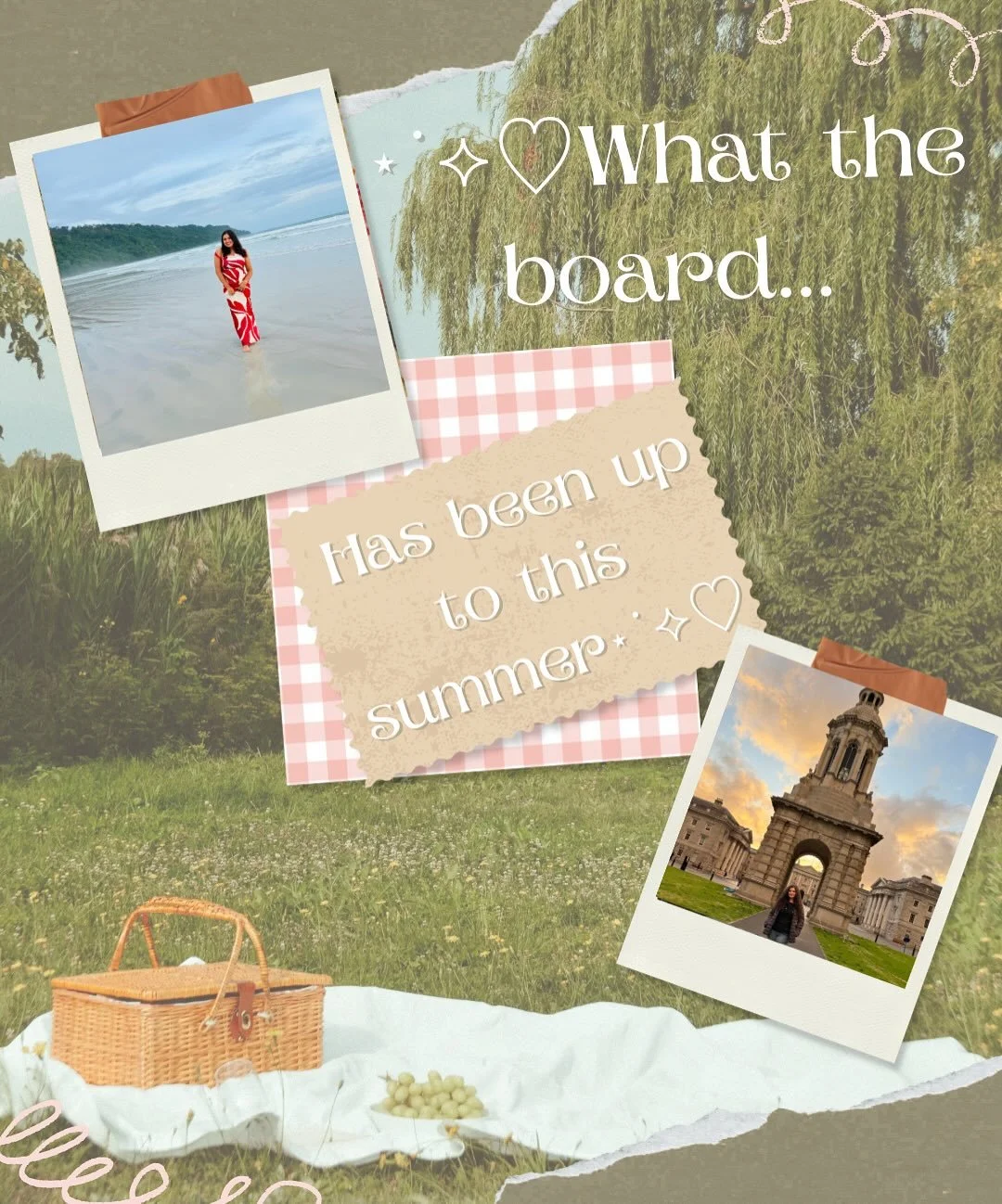 What the board has been up to this summer!