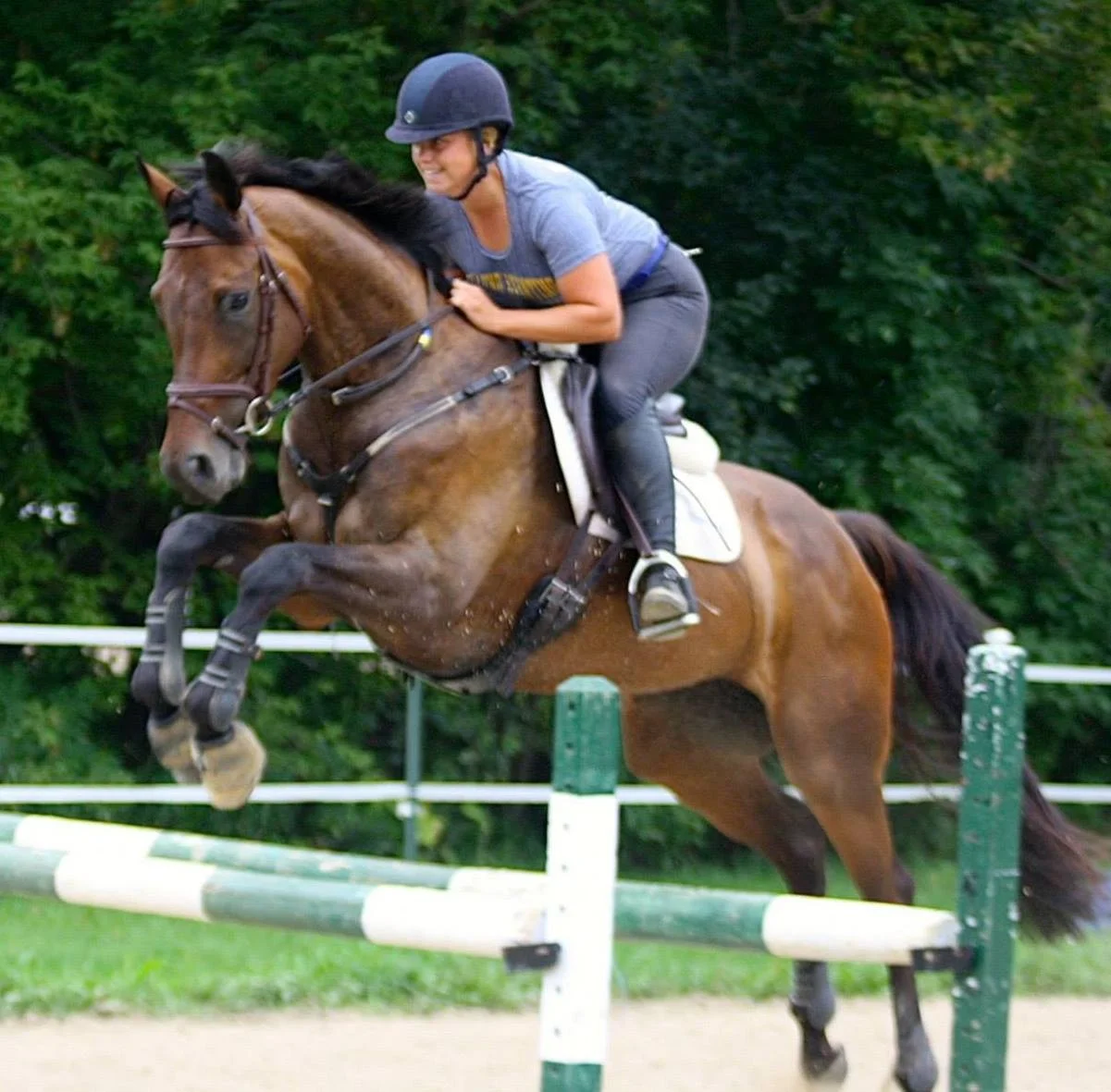 My Flashy Teton "Roxy" 