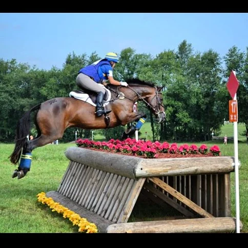 Lady Hannah B - CCI3* - Richland Park HT
