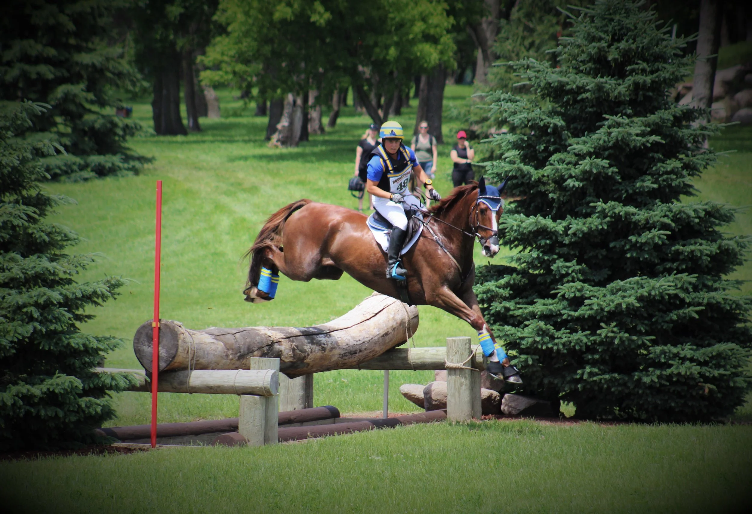 Privatised "Hutchy" - OT - Roebke's Run HT