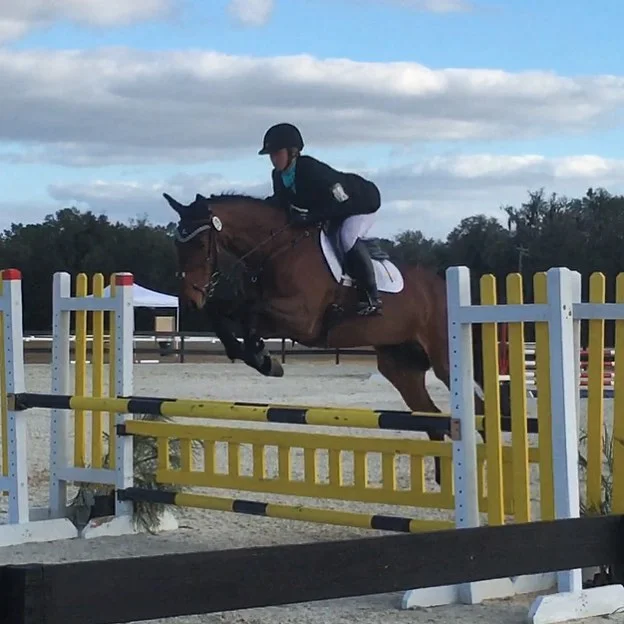 Robbinstown Ballivor "Tyson" 