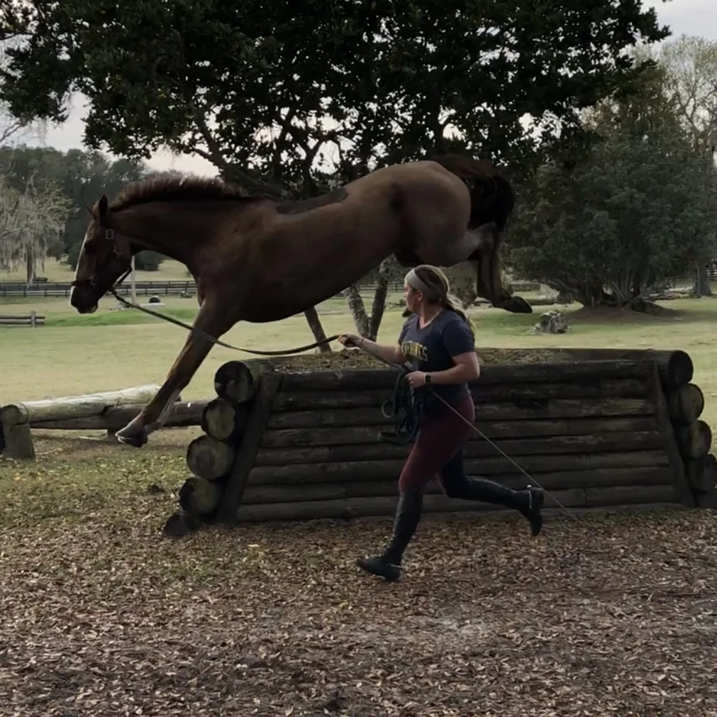 Liz jumping Hutchy on the rope halter.