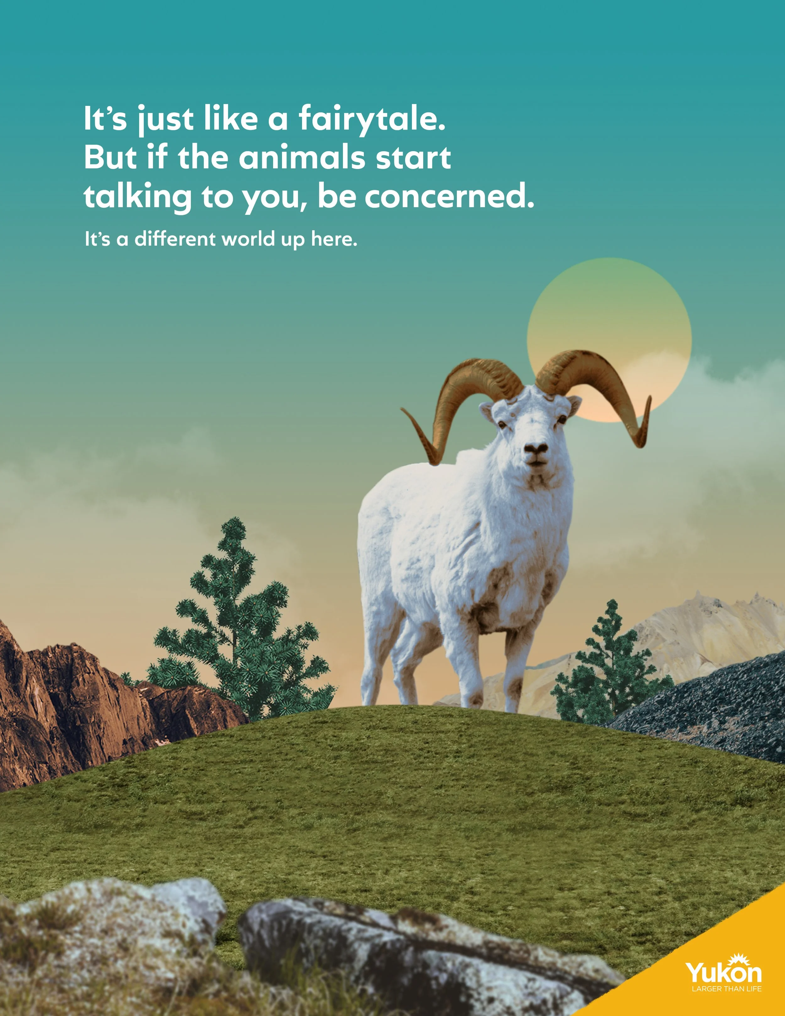 Sheep.jpg