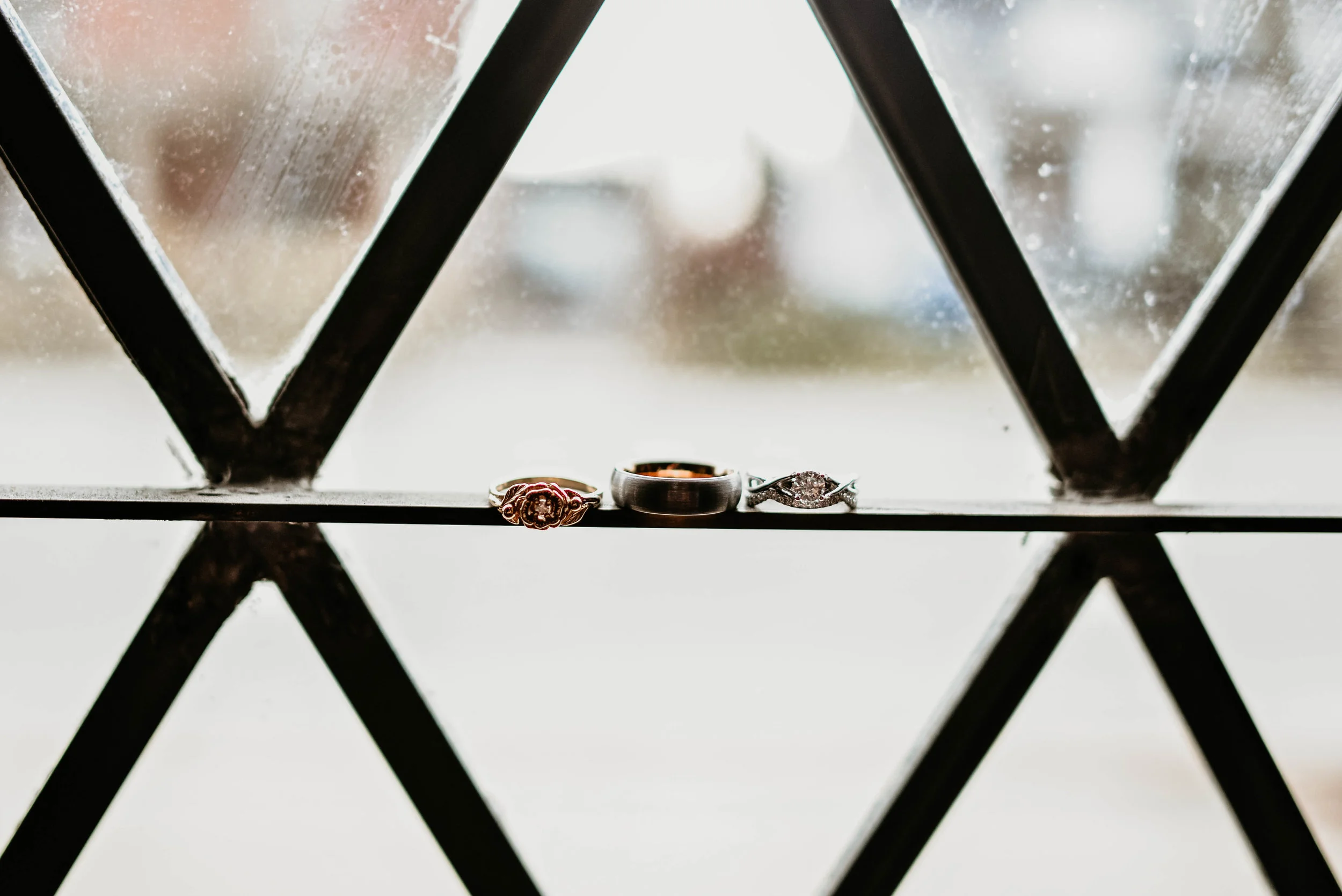DSC_8649.jpg