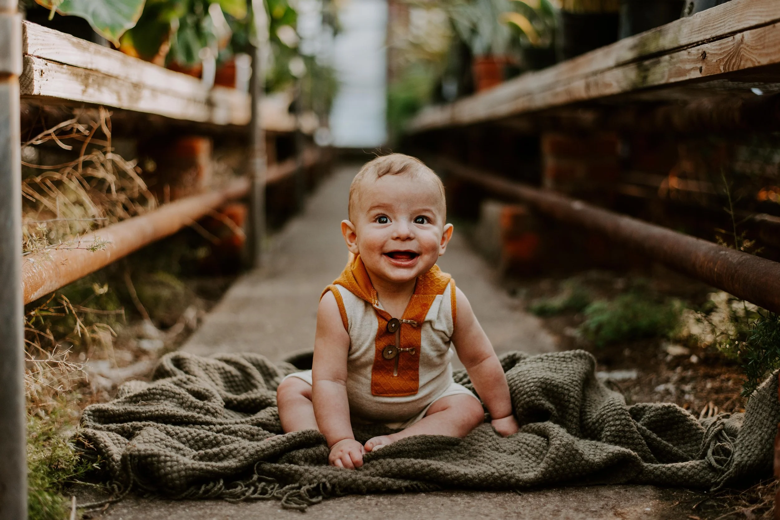 Atlas | 6 Months | Heller Nursery